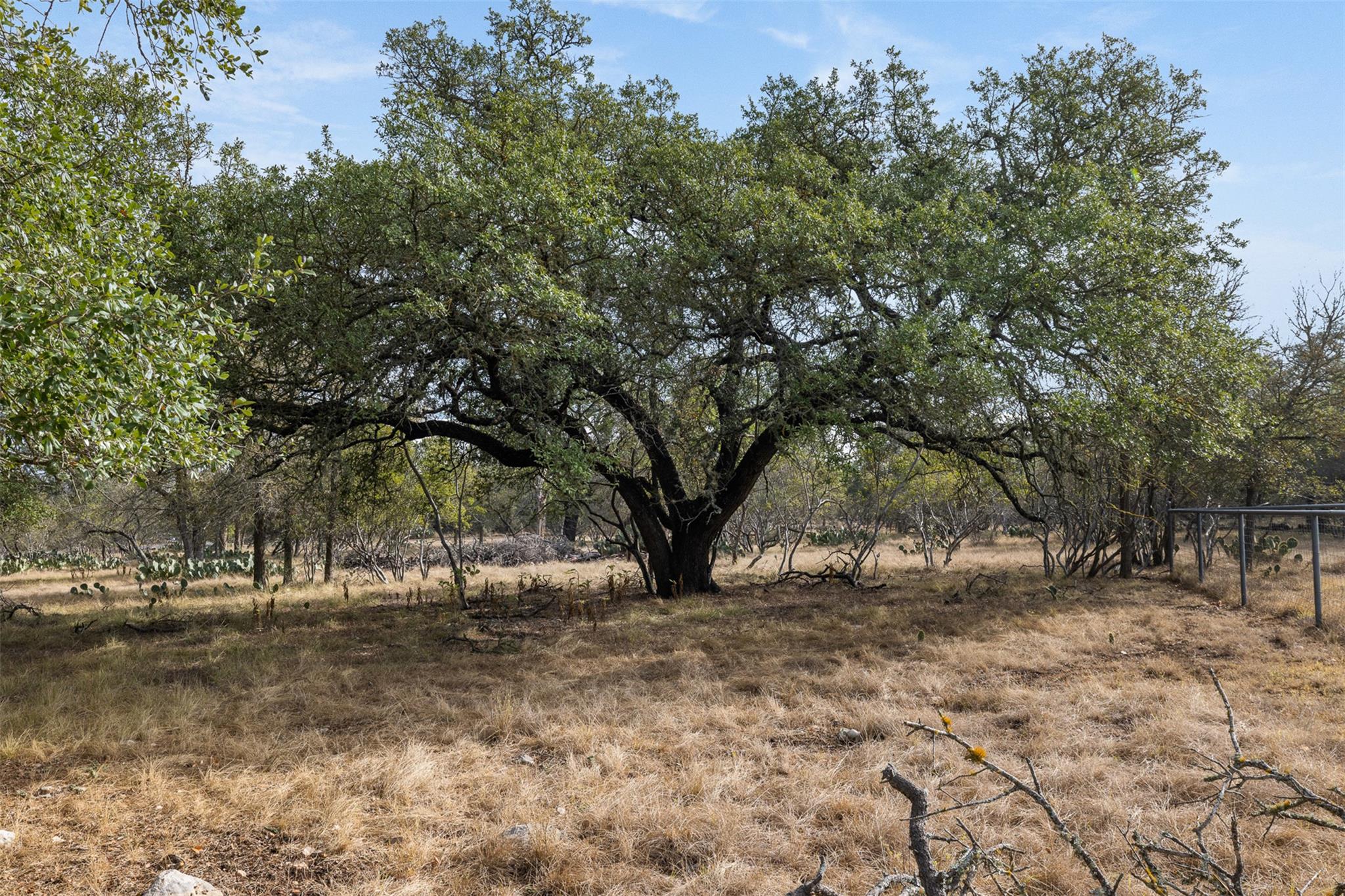 3801 W Fm 150, Kyle, TX 78640