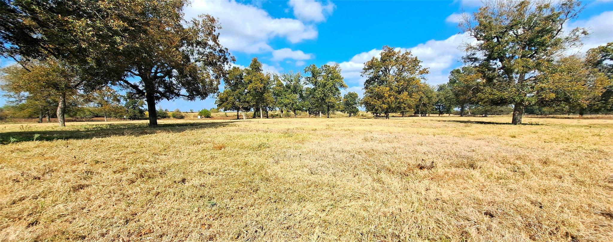 3432 County Road 206 Rd N, Cameron, TX 76520