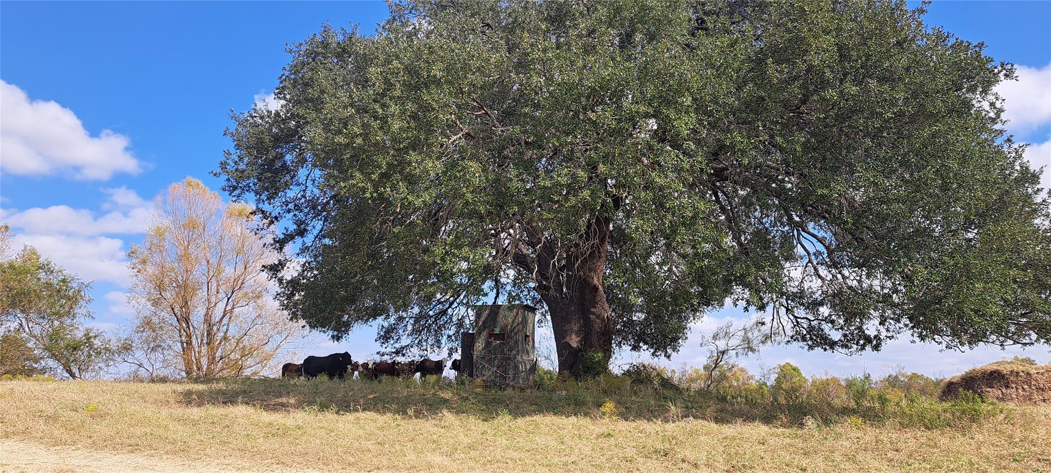 3432 County Road 206 Rd N, Cameron, TX 76520