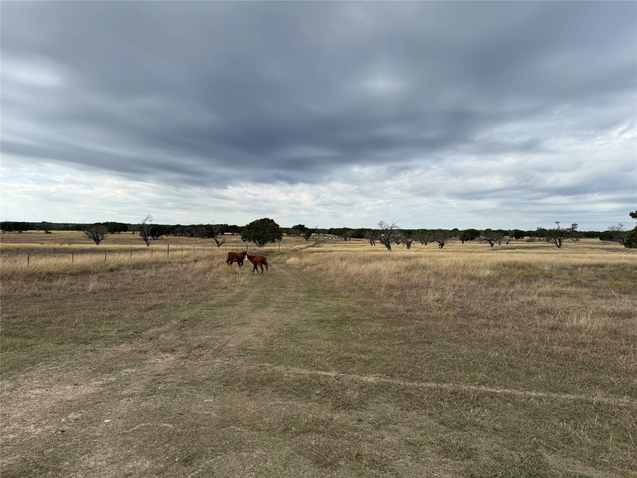 126 Acres County Road 204, Burnet, TX 78611