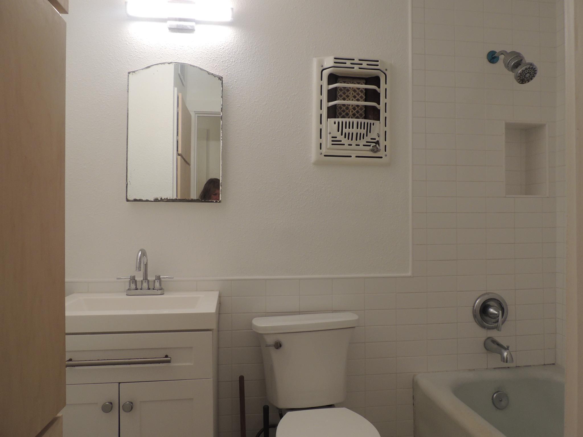 1307 Deloney St, Austin, TX 78721