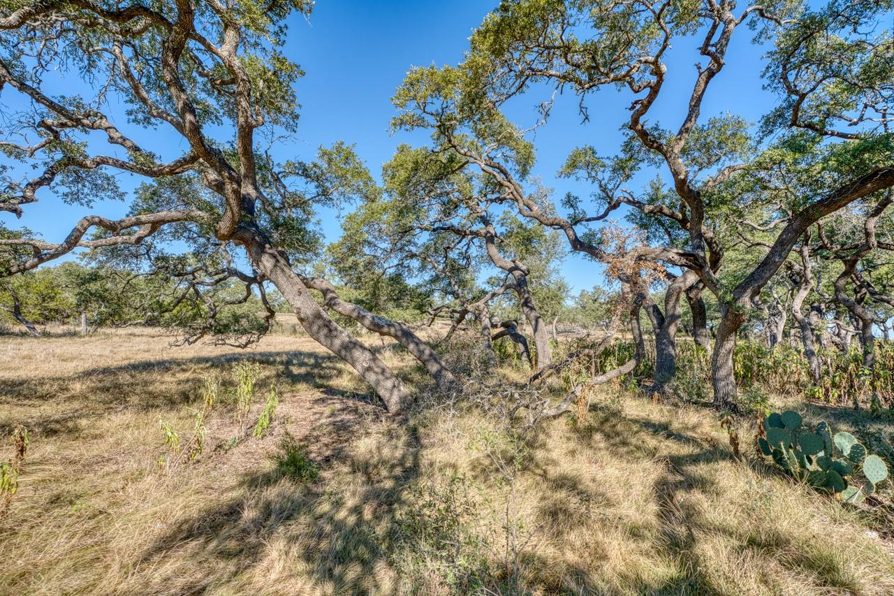 Lot 2 Legacy Hills Dr, Johnson City, TX 78636