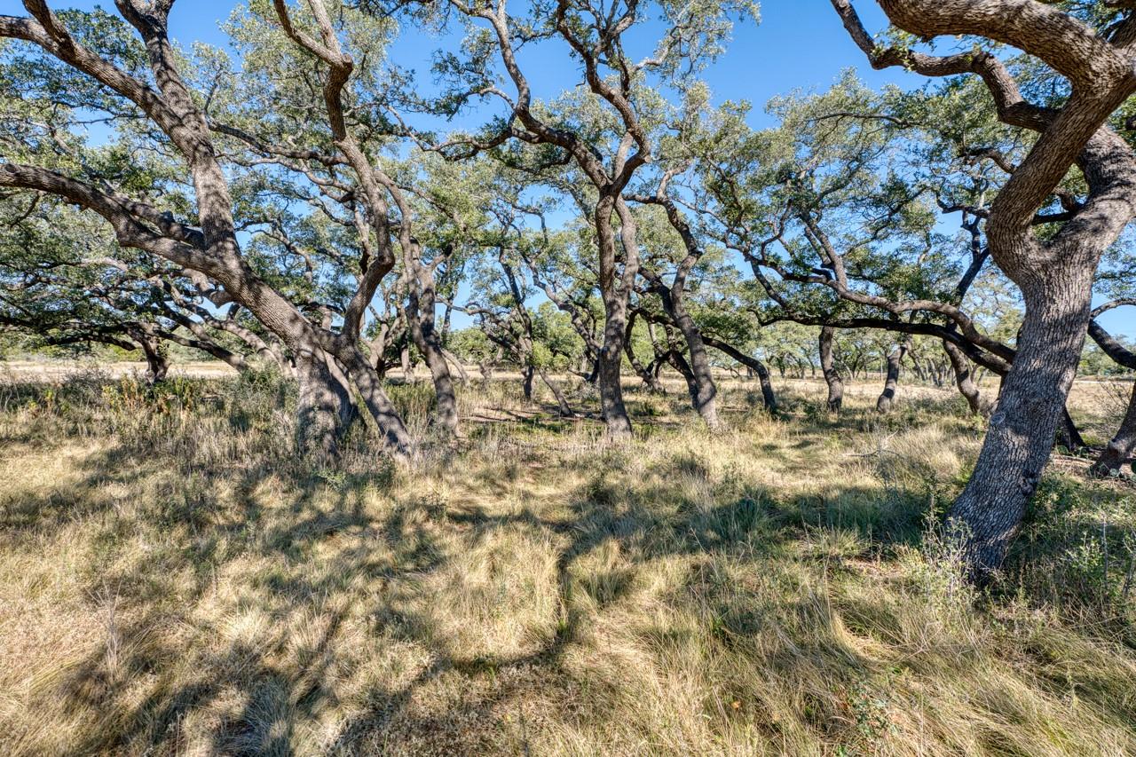 Lot 2 Legacy Hills Dr, Johnson City, TX 78636