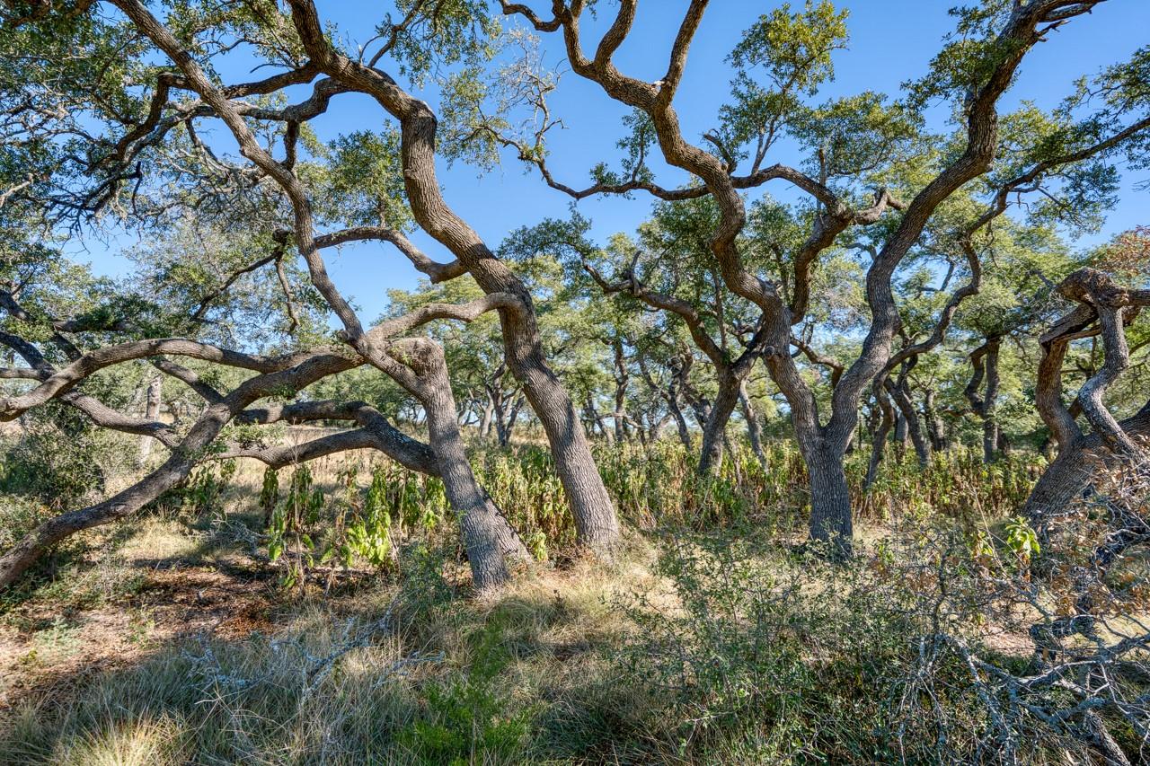 Lot 2 Legacy Hills Dr, Johnson City, TX 78636