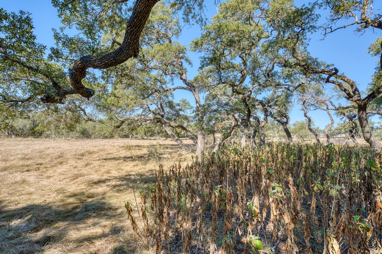 Lot 2 Legacy Hills Dr, Johnson City, TX 78636