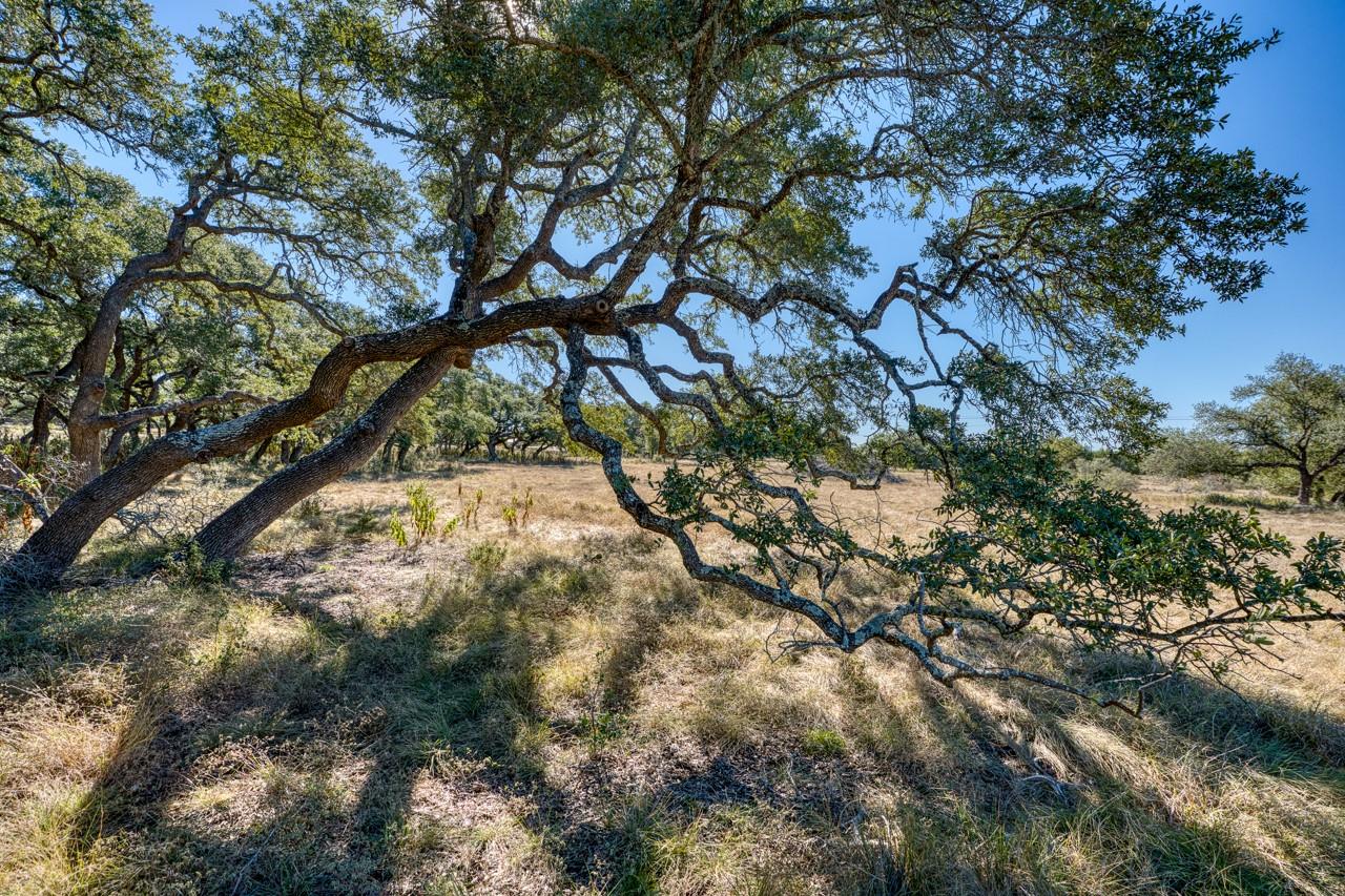 Lot 2 Legacy Hills Dr, Johnson City, TX 78636