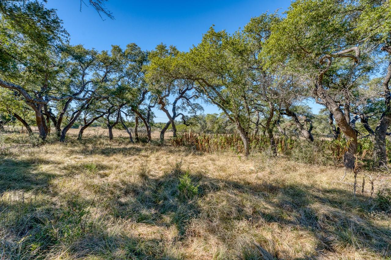 Lot 2 Legacy Hills Dr, Johnson City, TX 78636