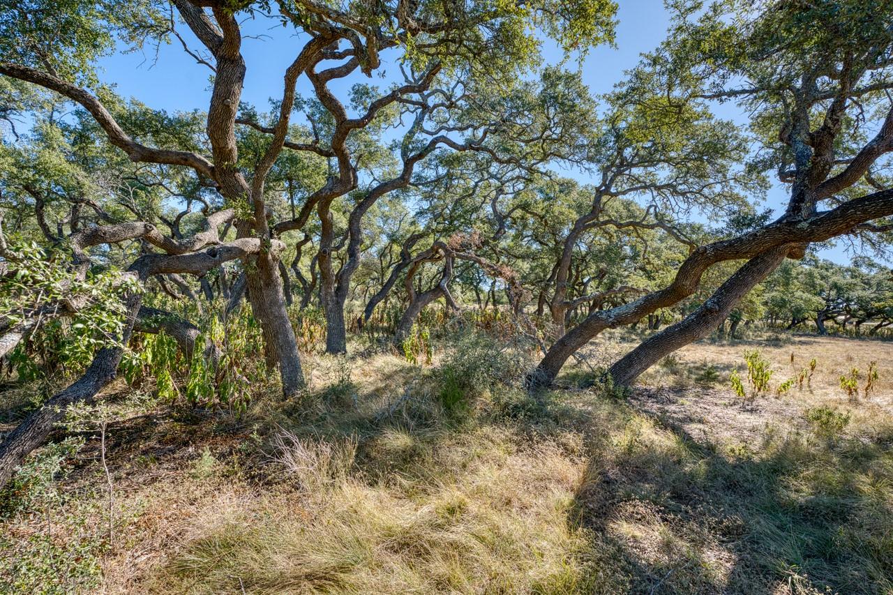 Lot 2 Legacy Hills Dr, Johnson City, TX 78636