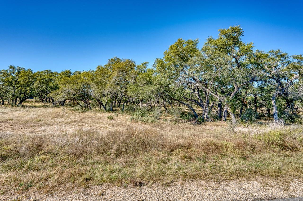 Lot 2 Legacy Hills Dr, Johnson City, TX 78636