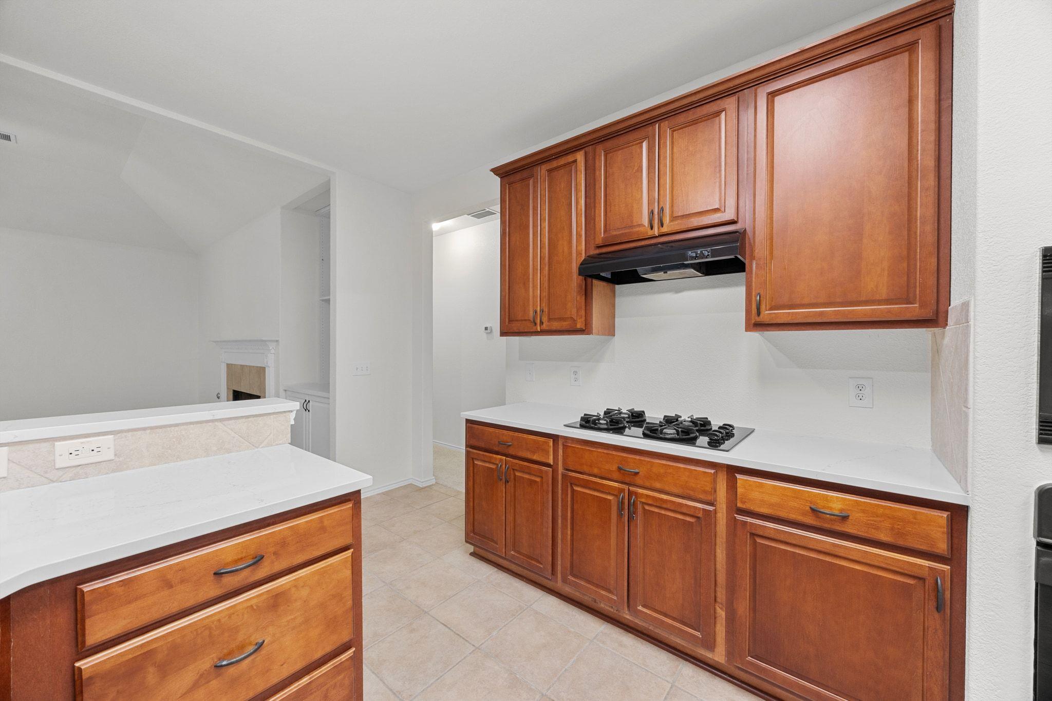 1521 Foppiano Loop, Round Rock, TX 78665