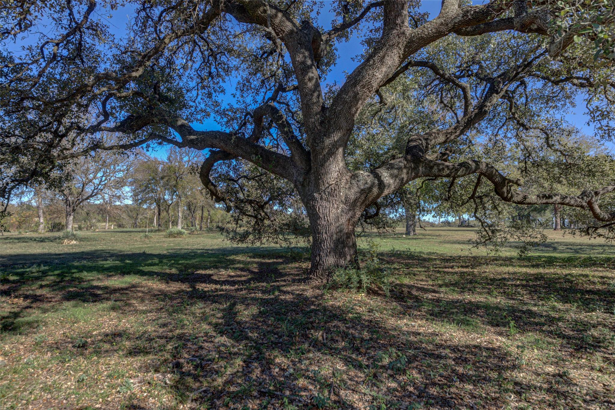 604 Oakwood Dr, Buda, TX 78610