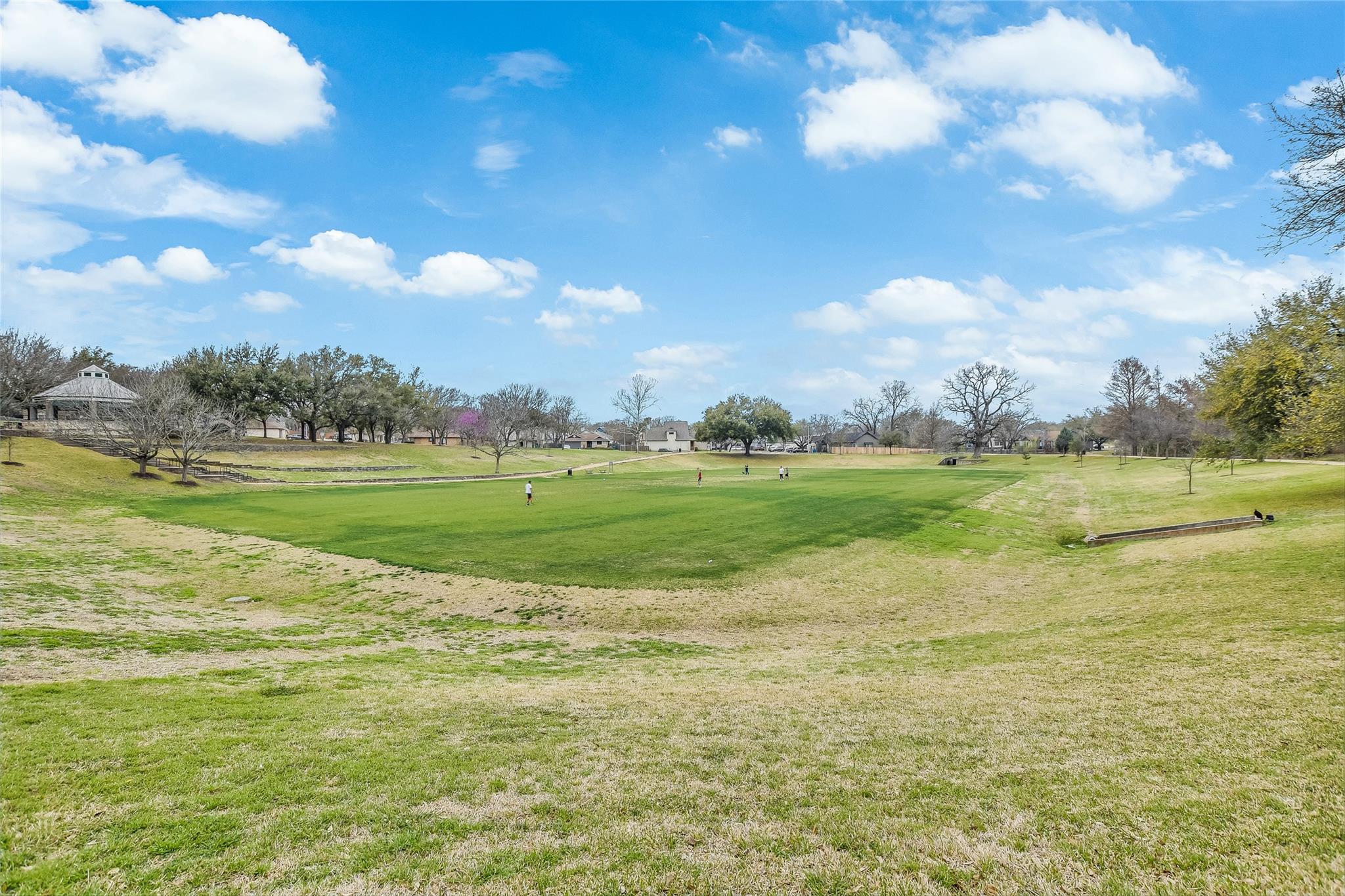 2202 Taylor Simonetti Ave, Austin, TX 78728