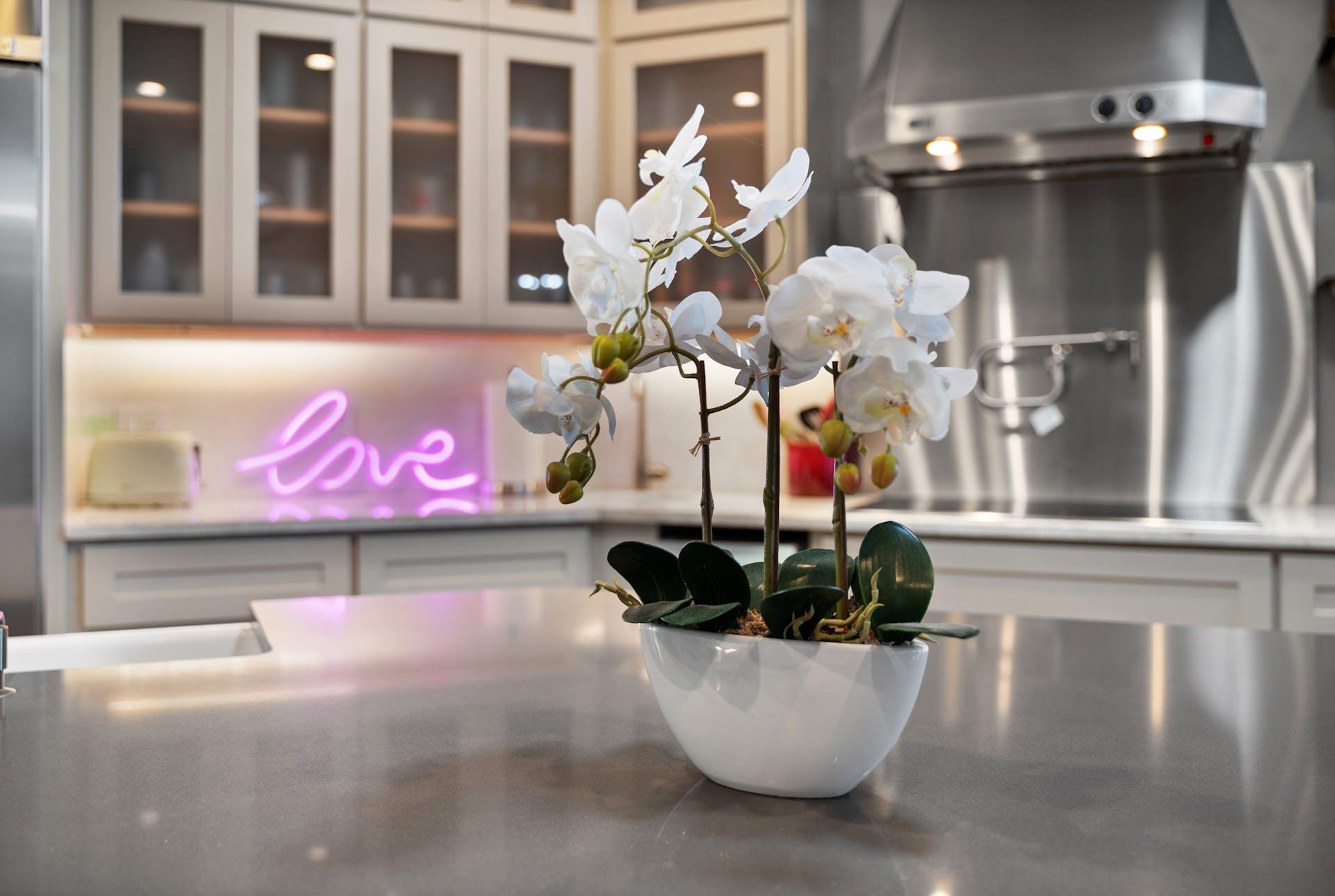 2001 Mestena Trl, Austin, TX 78733