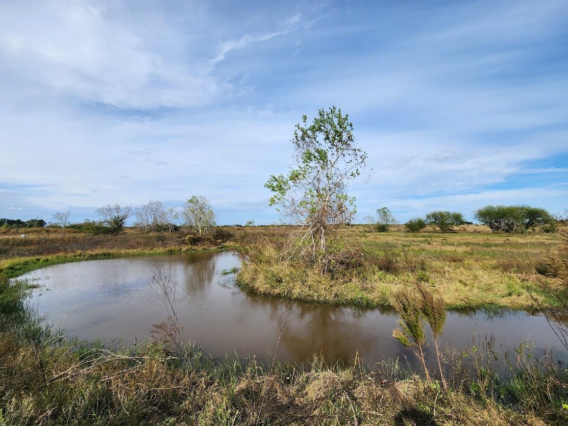 5632 Fm-1094, Sealy, TX 77474