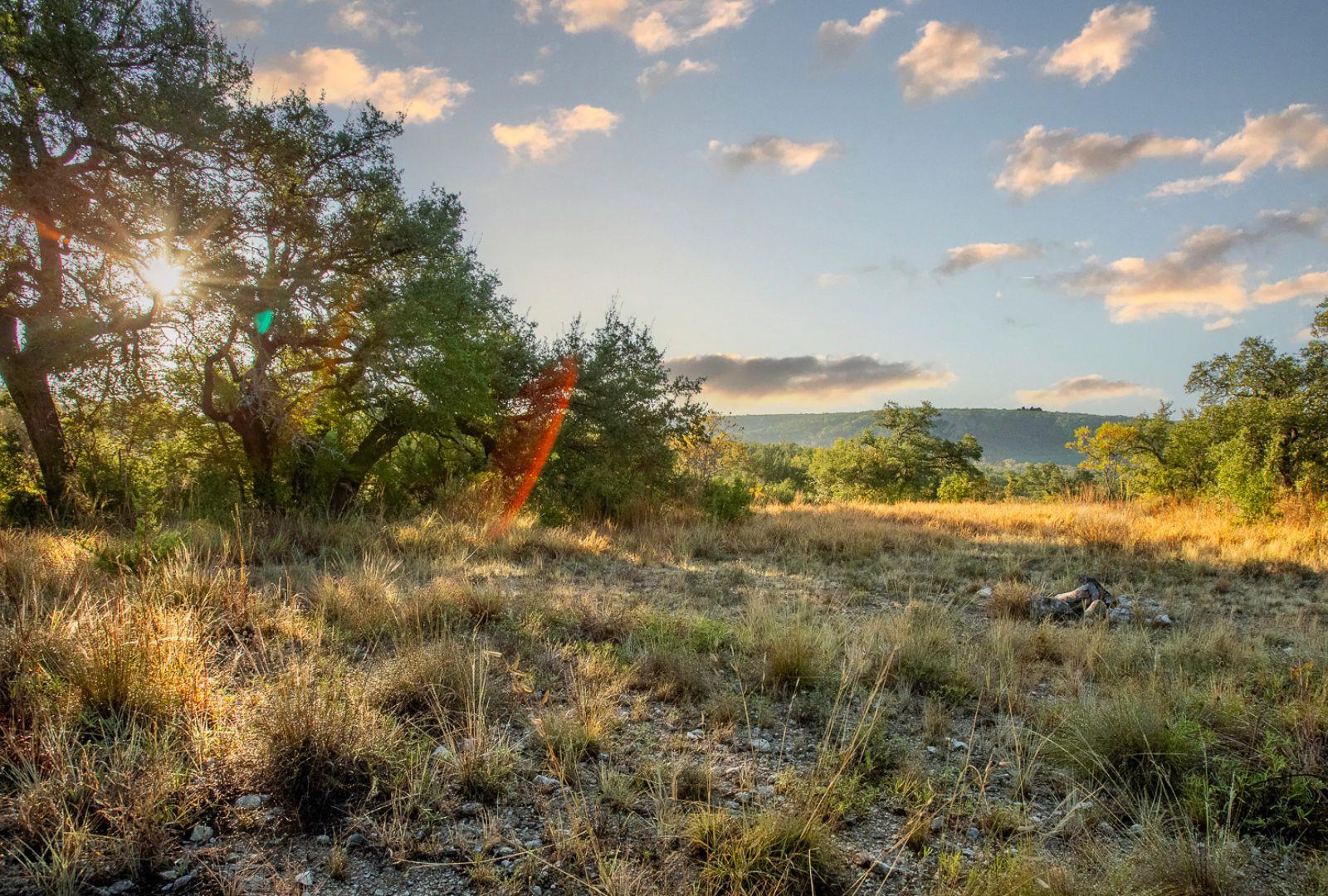 12516 Wire Rd, Leander, TX 78641