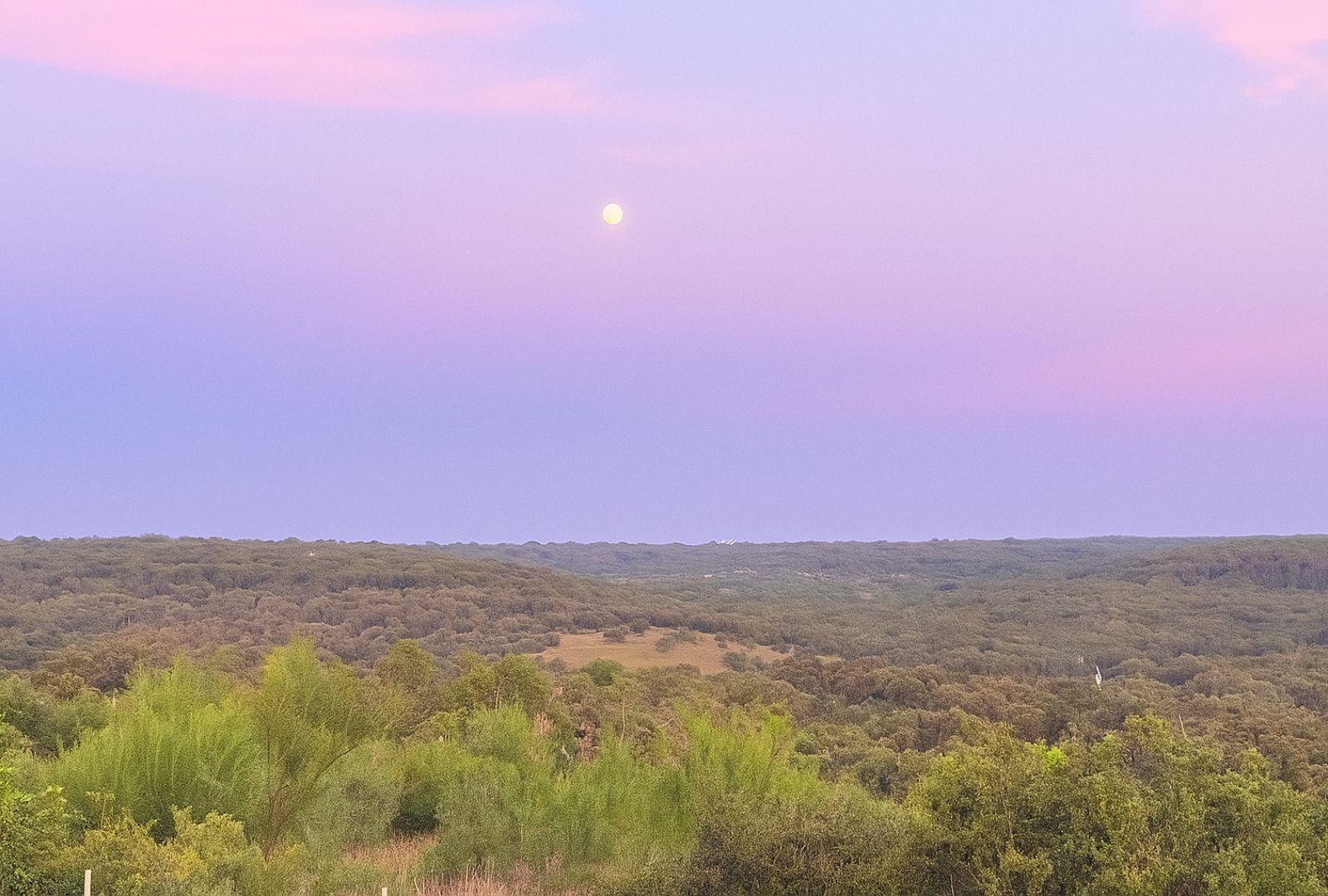 12516 Wire Rd, Leander, TX 78641