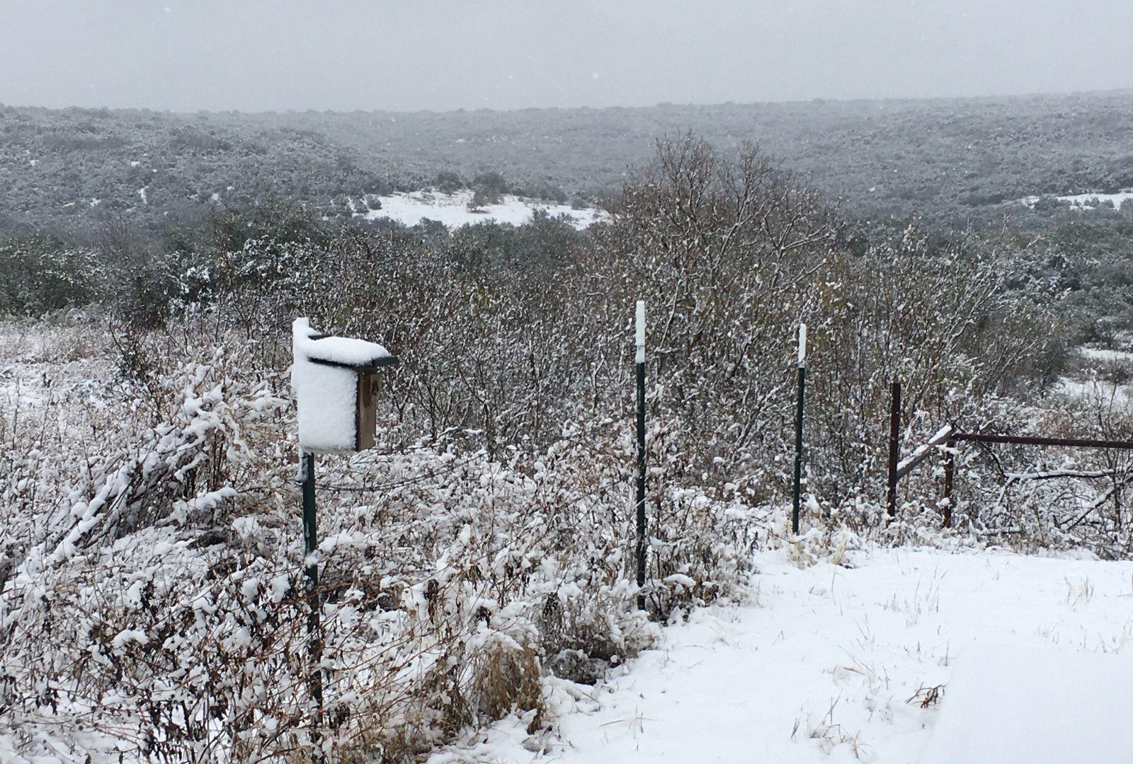 12516 Wire Rd, Leander, TX 78641