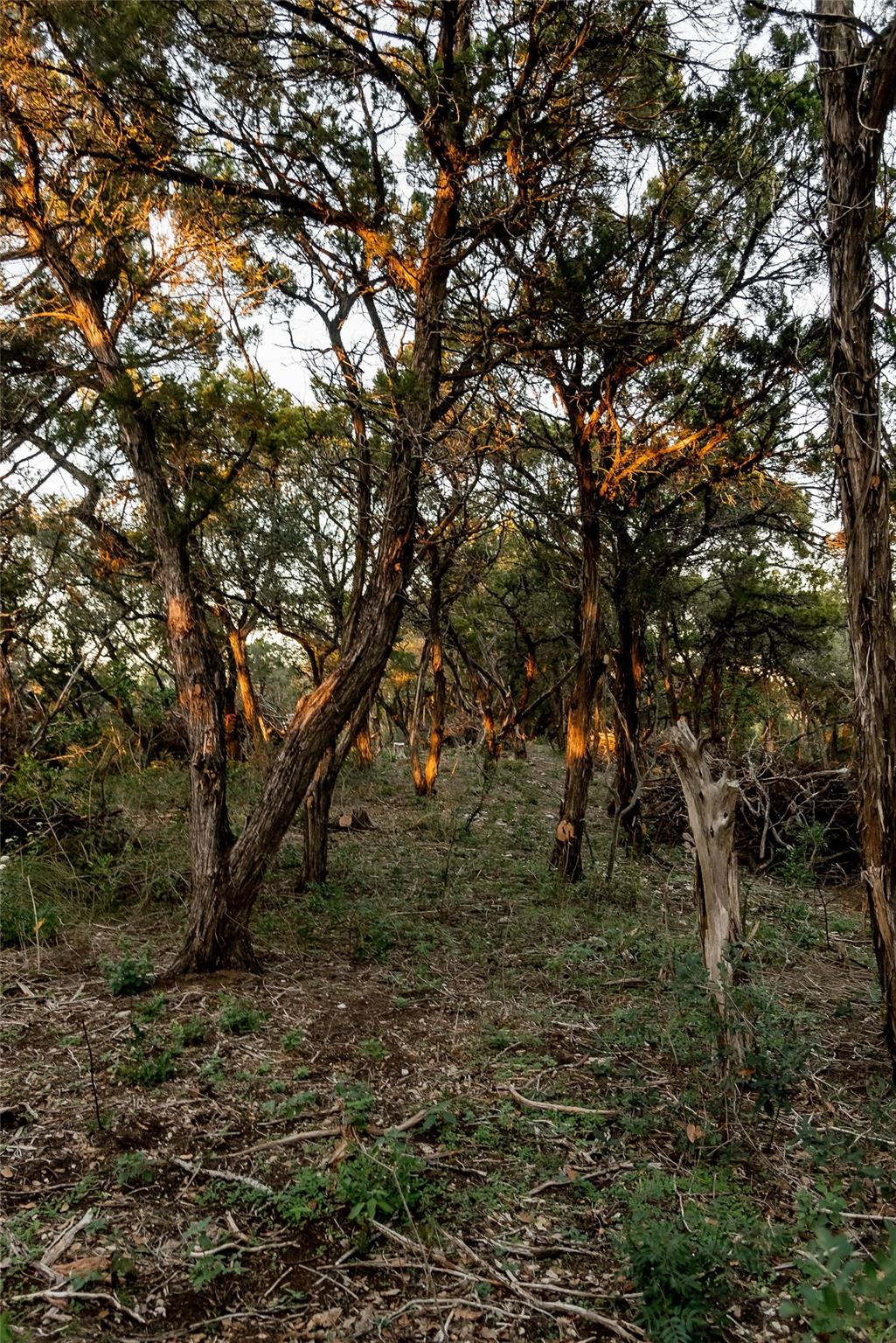 6702-6712 N Capital Of Texas Highway N, Austin, TX 78750