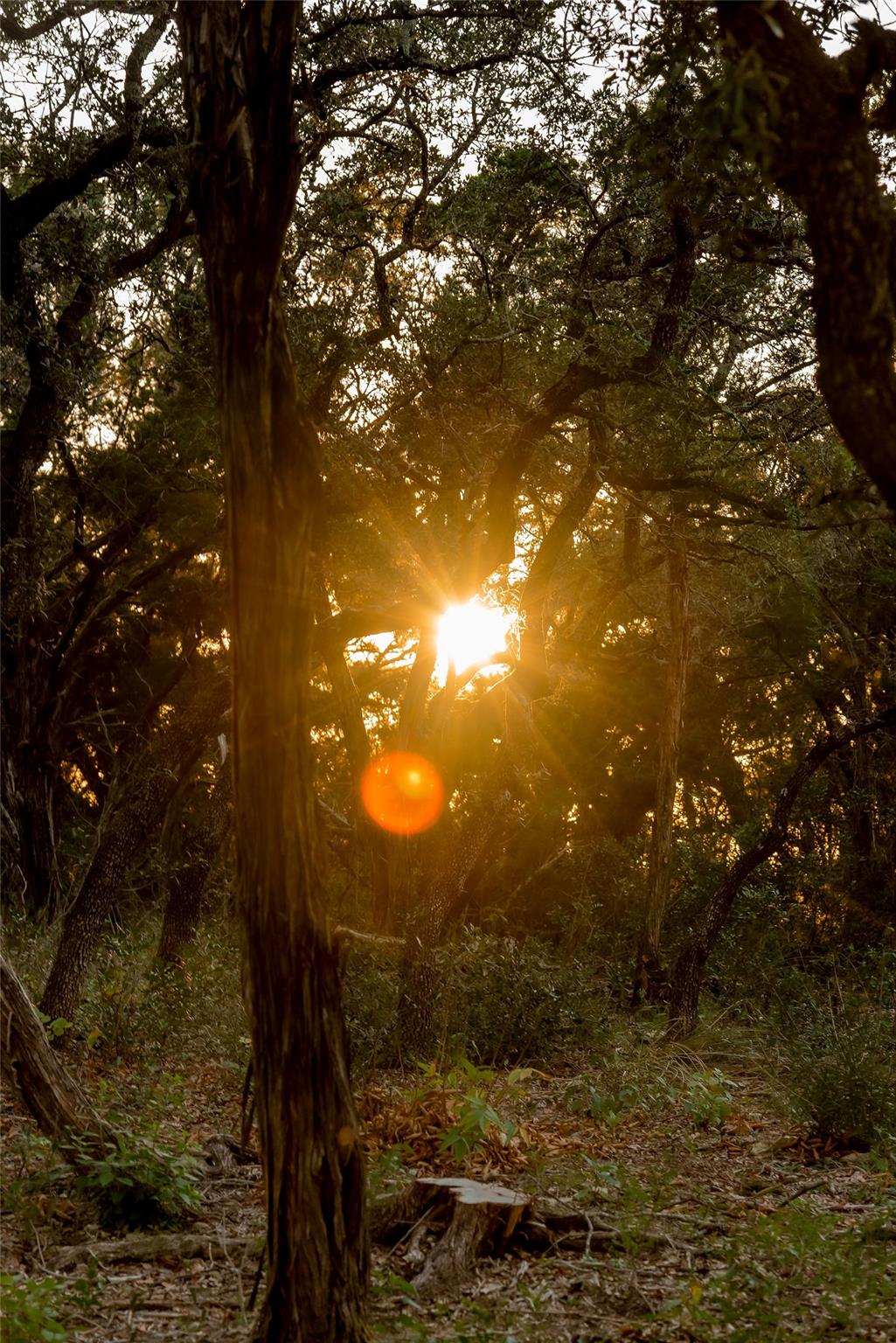 6702-6712 N Capital Of Texas Highway N, Austin, TX 78750