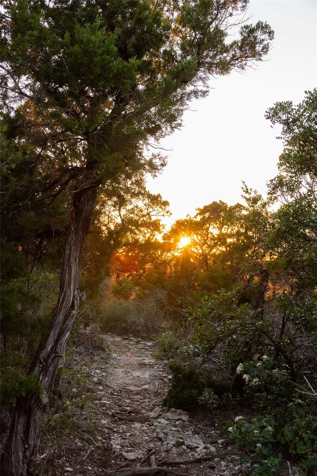 6702-6712 N Capital Of Texas Highway N, Austin, TX 78750