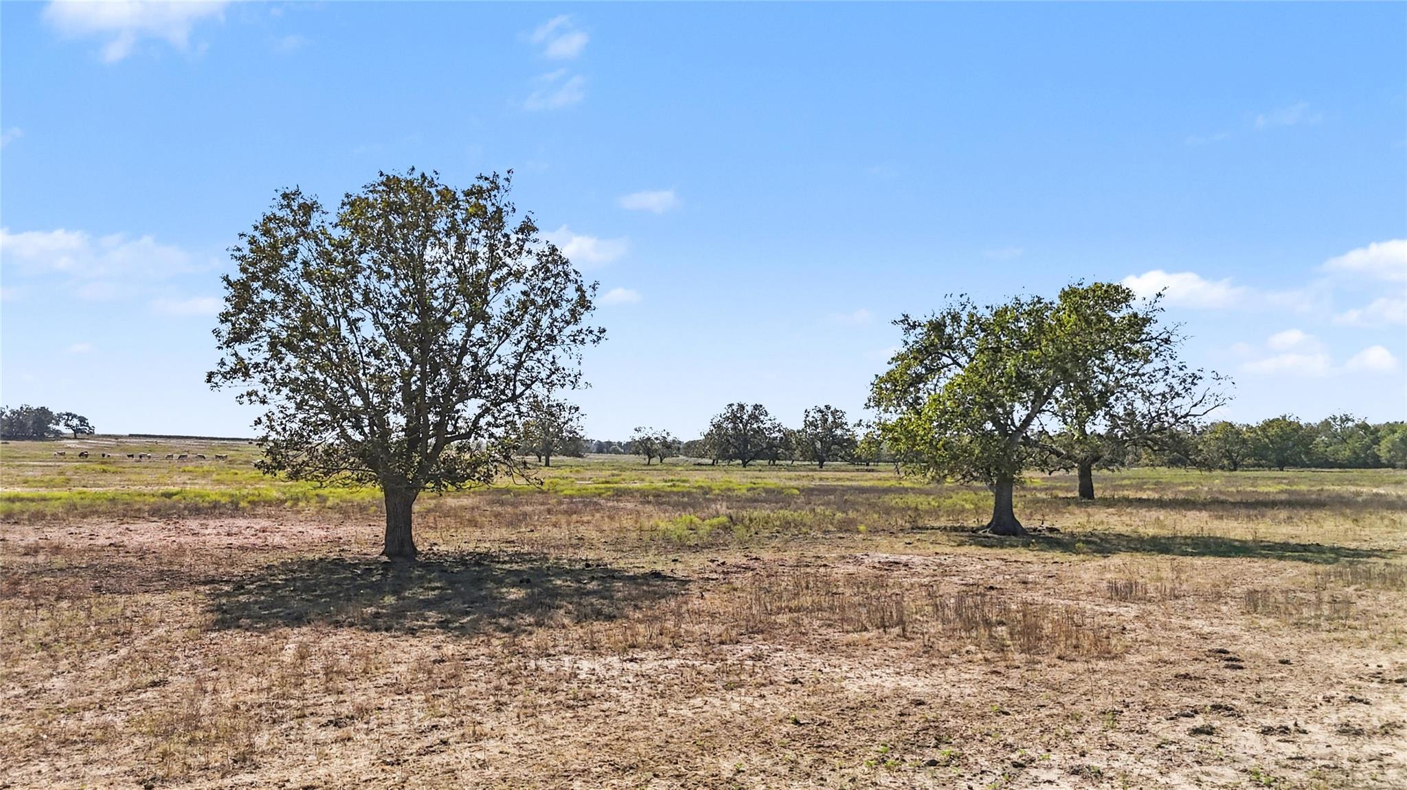 Tract 4 FM 3158, Dale, TX 78616