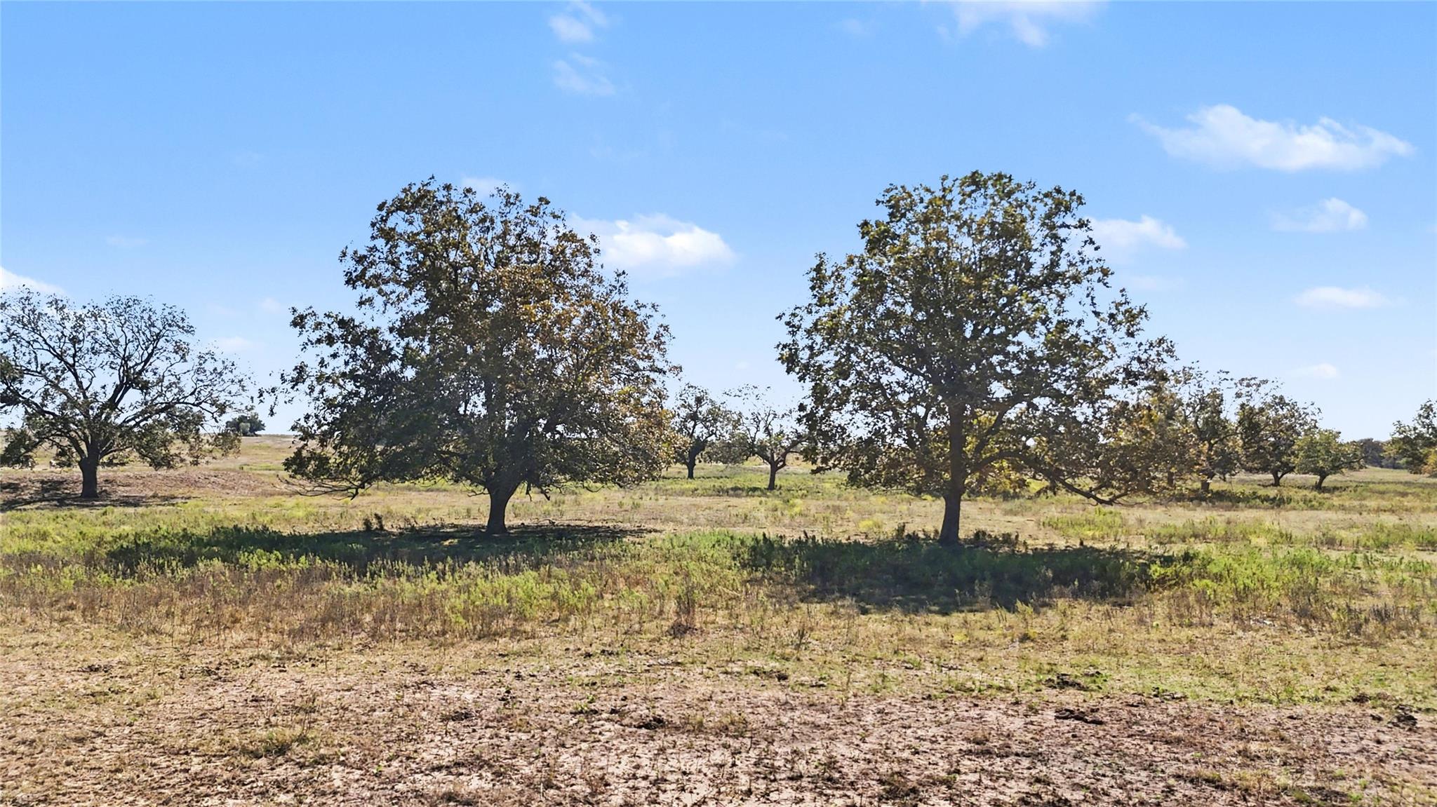 Tract 4 FM 3158, Dale, TX 78616