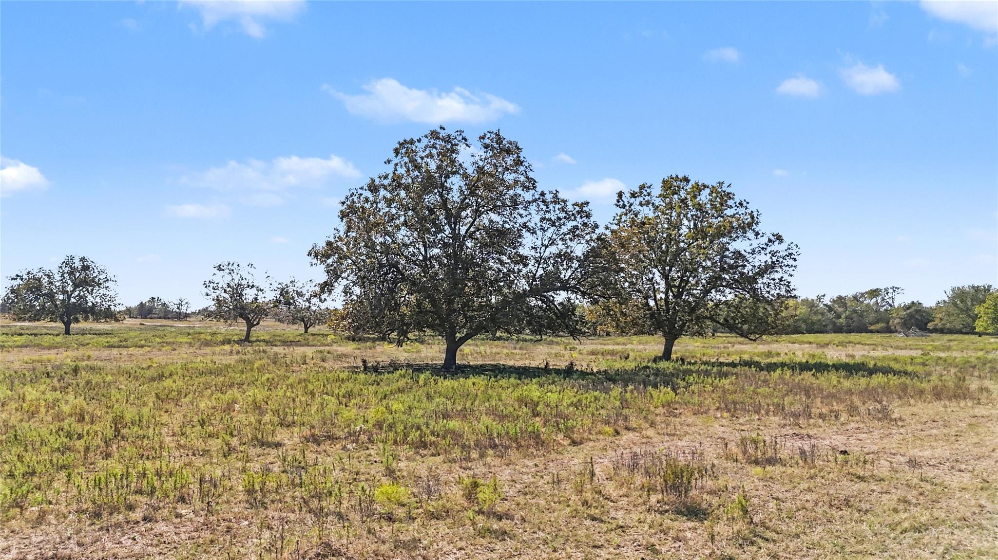 Tract 3 FM 3158, Dale, TX 78616