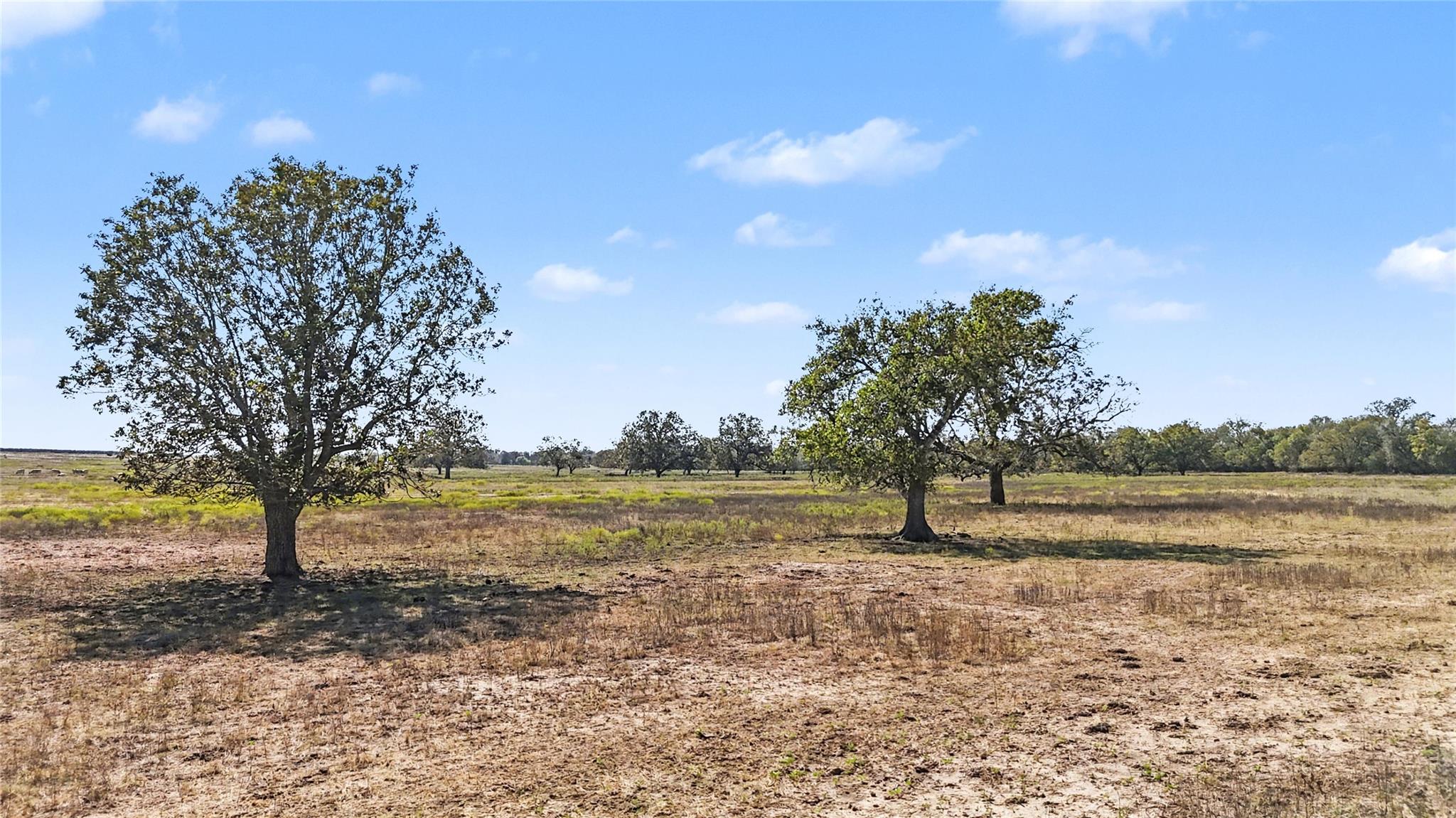 Tract 3 FM 3158, Dale, TX 78616