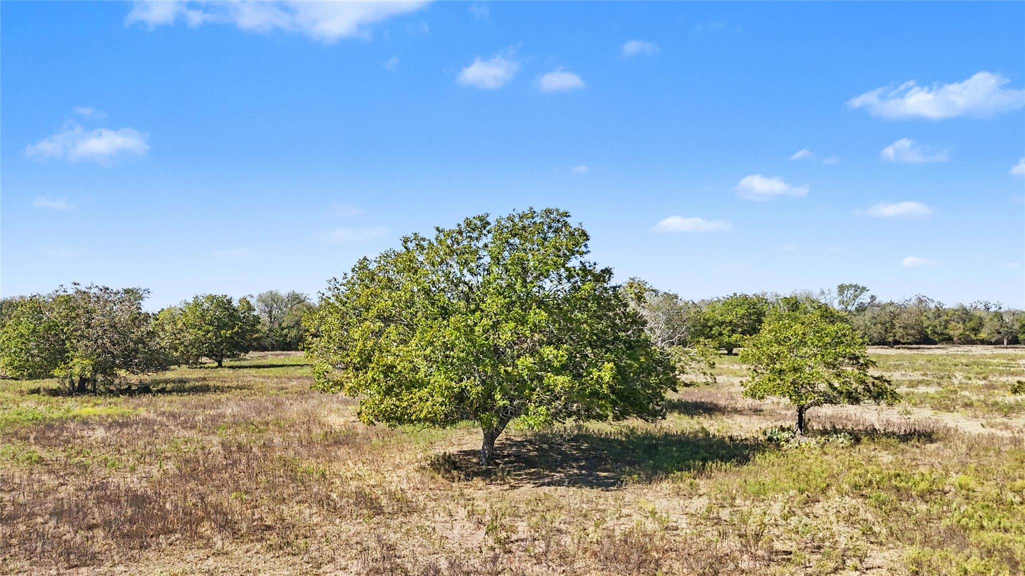 Tract 3 FM 3158, Dale, TX 78616