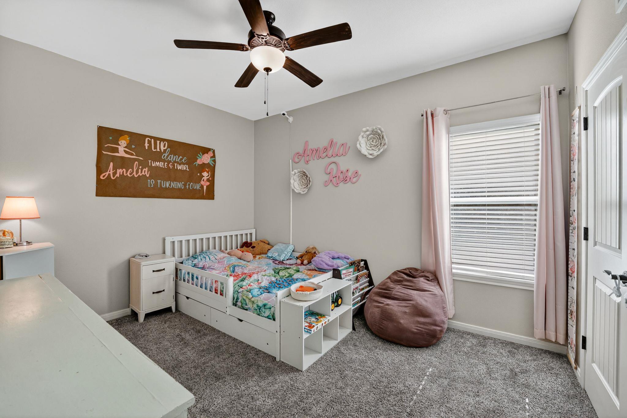 305 Western Sky Trl, Jarrell, TX 76537