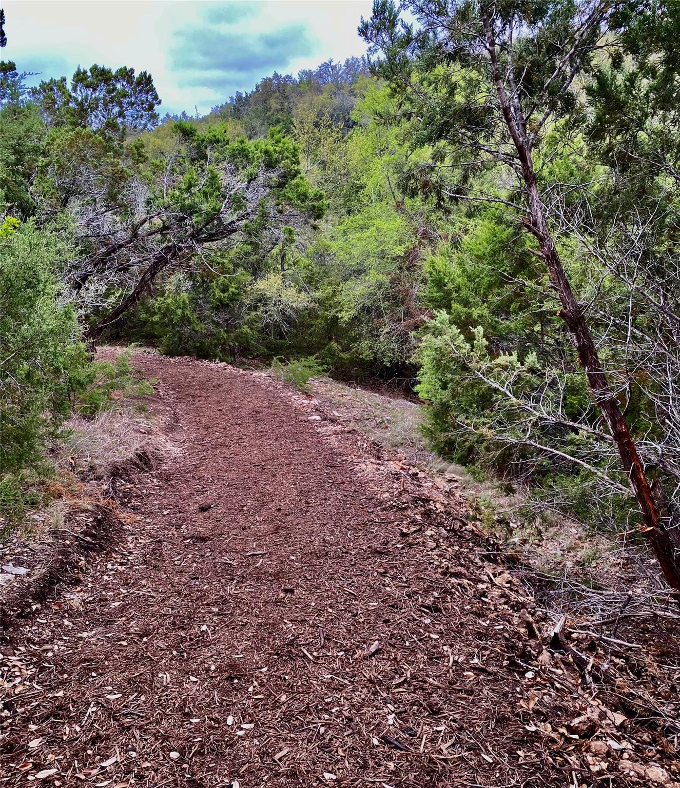 2228 Singletree Bnd, Georgetown, TX 78628