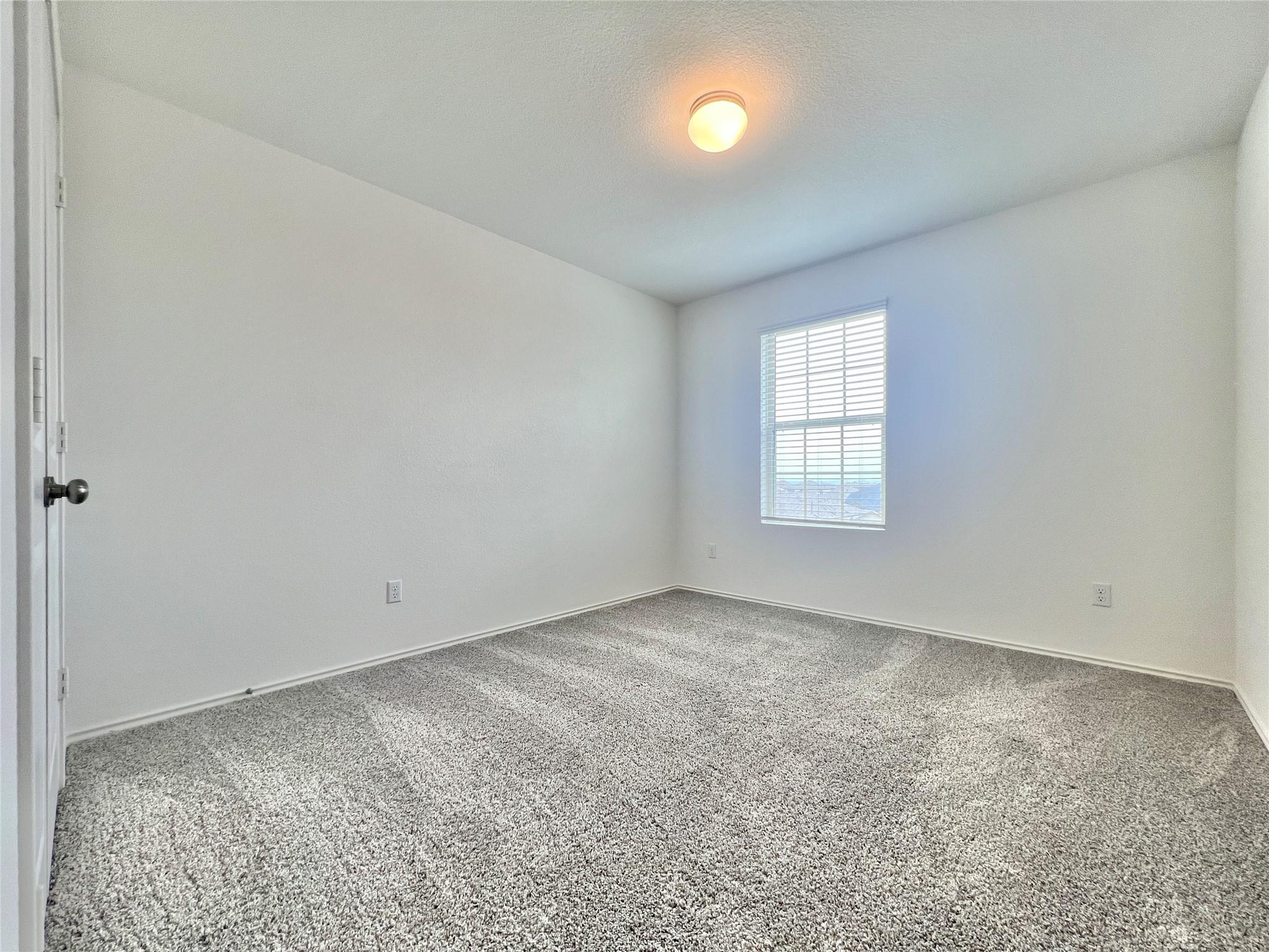 6533 Strelitzia Cv, Round Rock, TX 78665