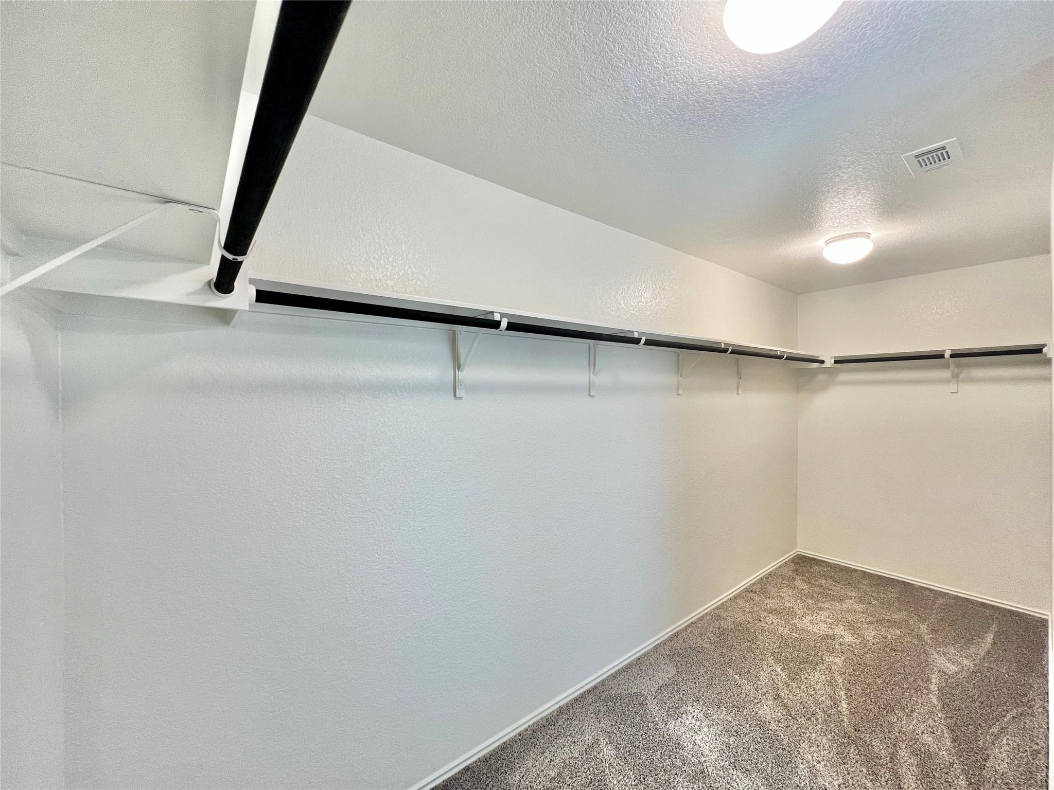 6533 Strelitzia Cv, Round Rock, TX 78665