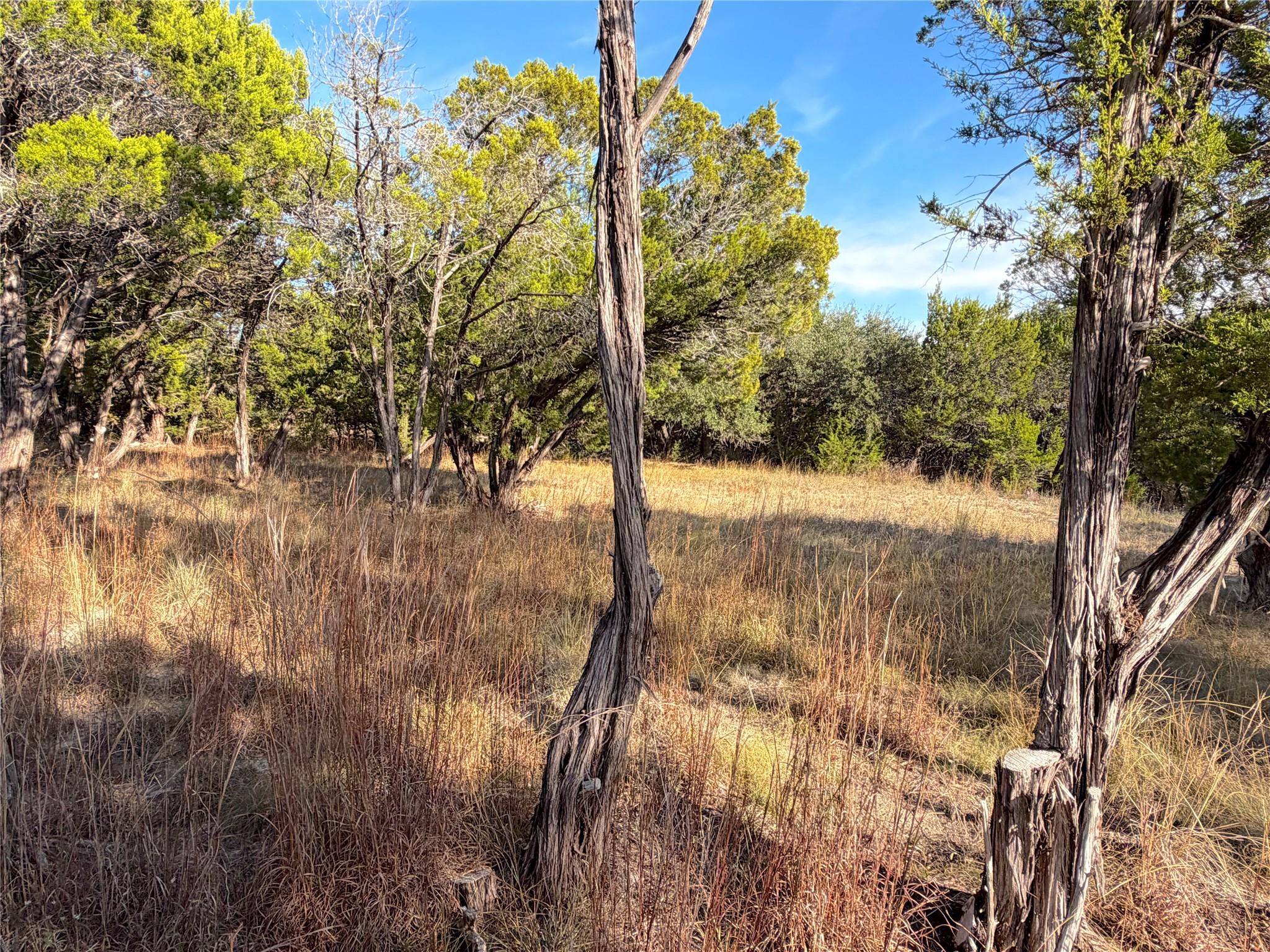 TBD Terra Vista Ct, Canyon Lake, TX 78133