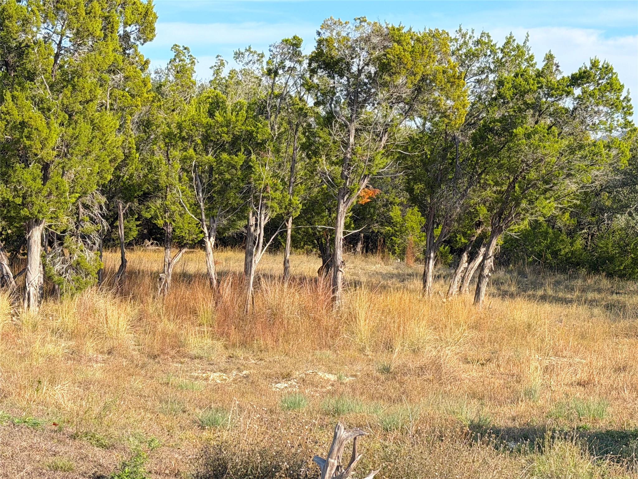 TBD Terra Vista Ct, Canyon Lake, TX 78133