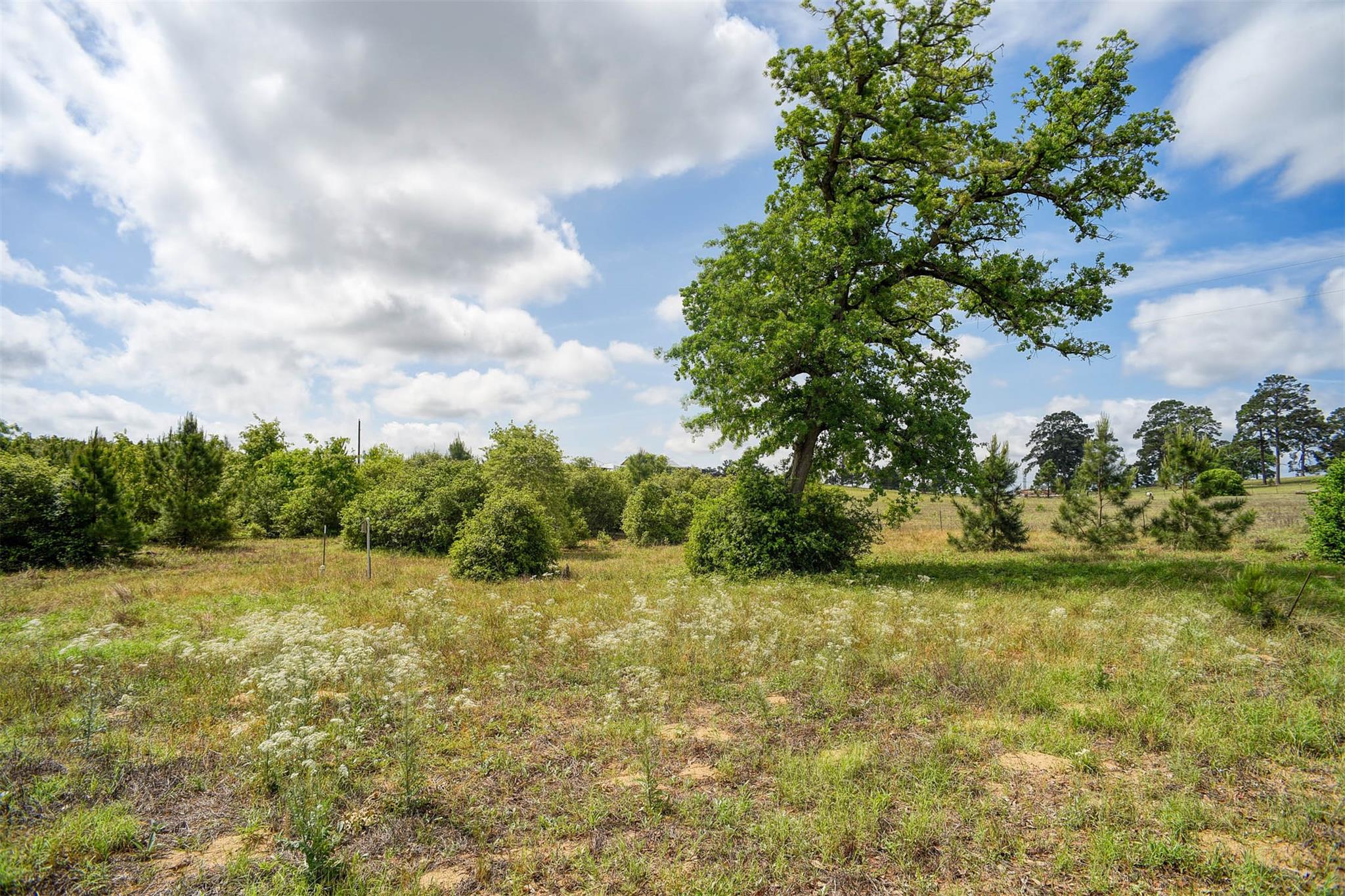 959 Highway 21 Highway E, Bastrop, TX 78602