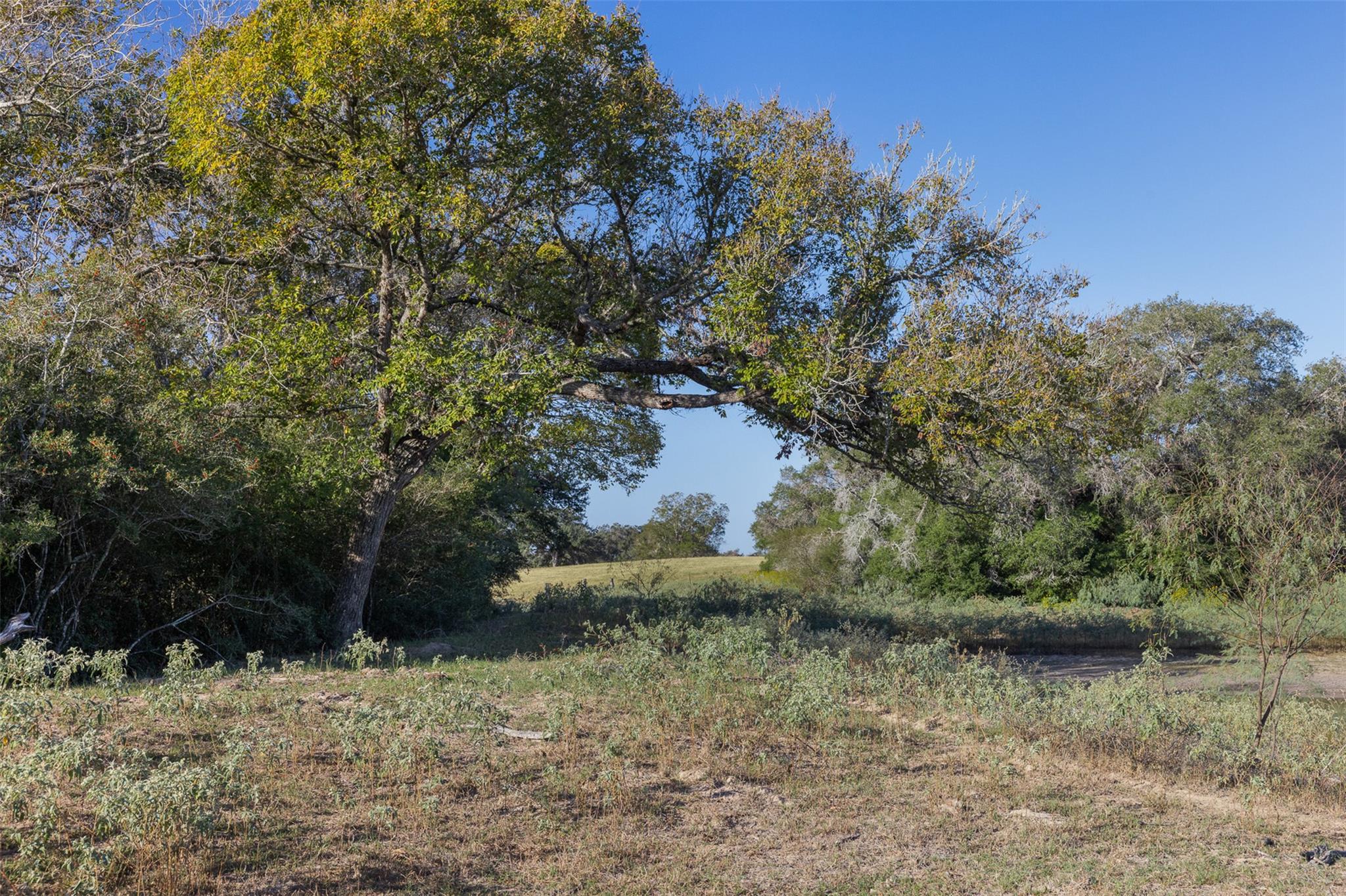 3012 Us Highway 77 S, Hallettsville, TX 77964