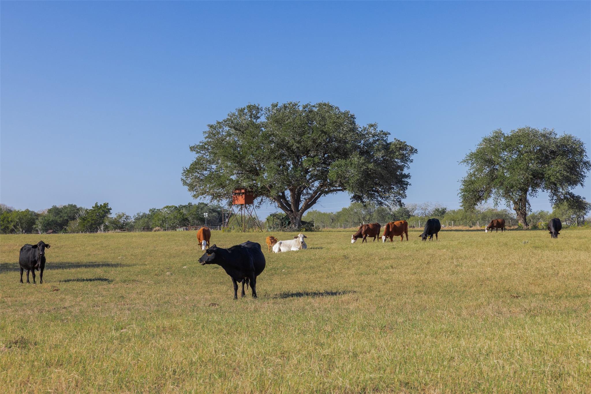 3012 Us Highway 77 S, Hallettsville, TX 77964