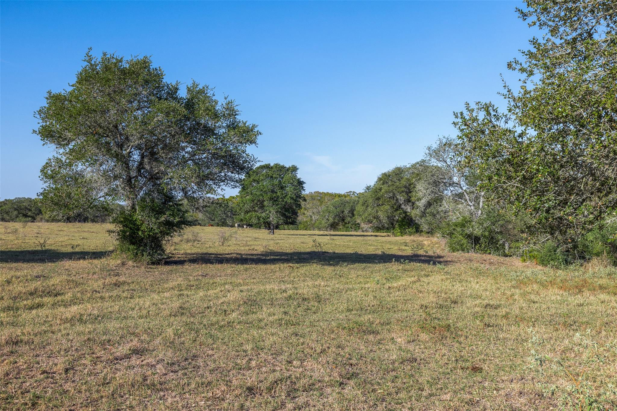 3012 Us Highway 77 S, Hallettsville, TX 77964