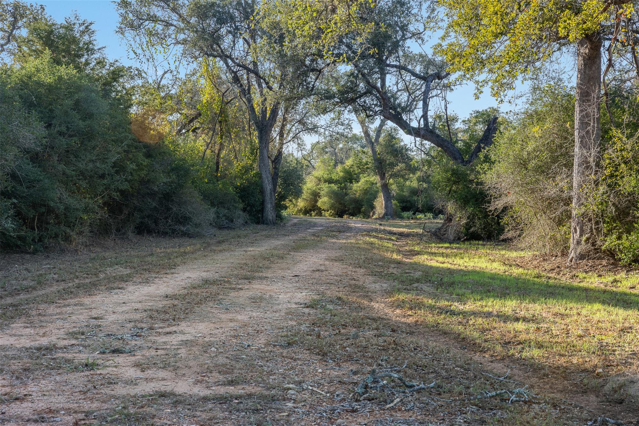 3012 Us Highway 77 S, Hallettsville, TX 77964