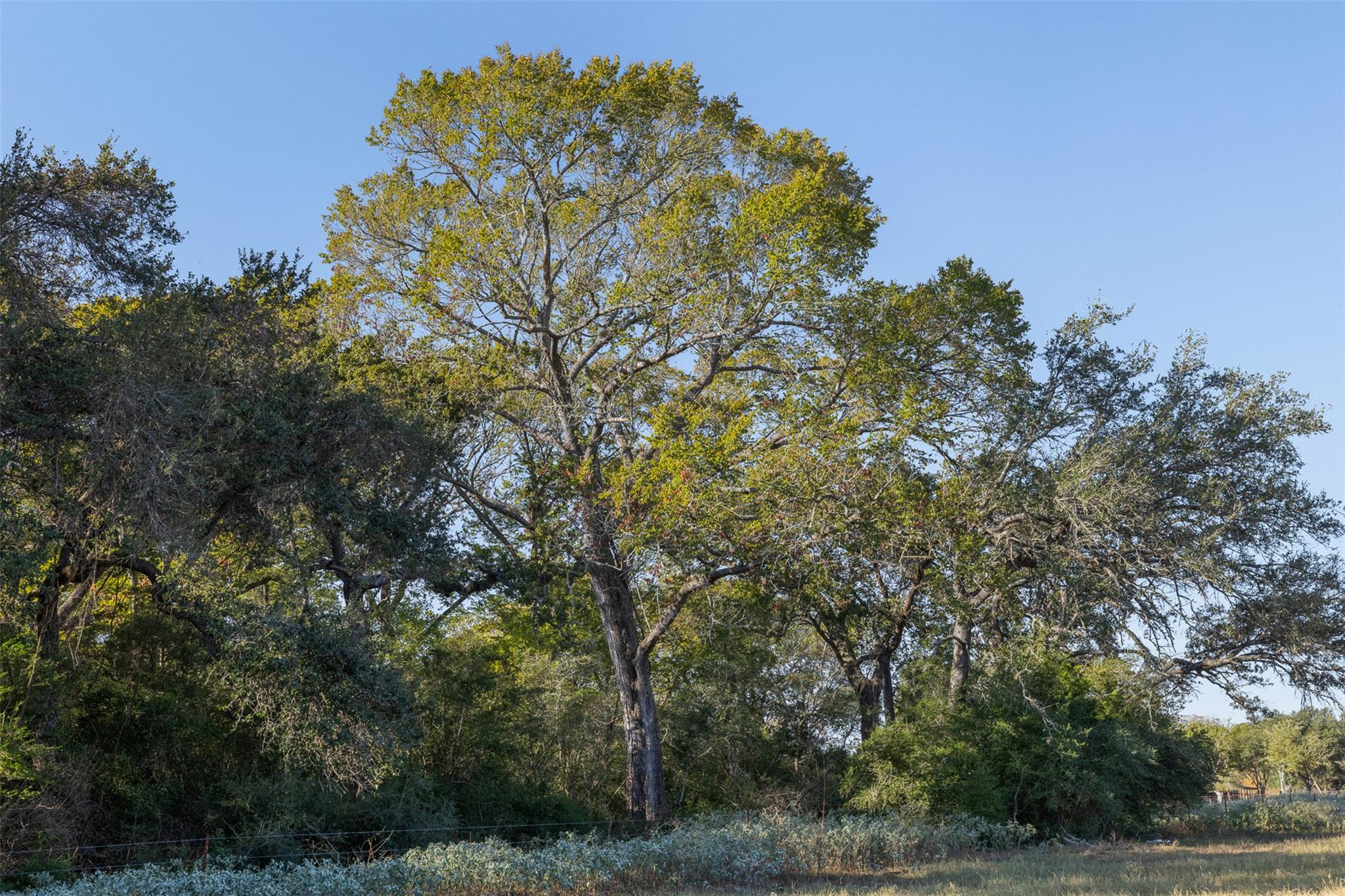 3012 Us Highway 77 S, Hallettsville, TX 77964