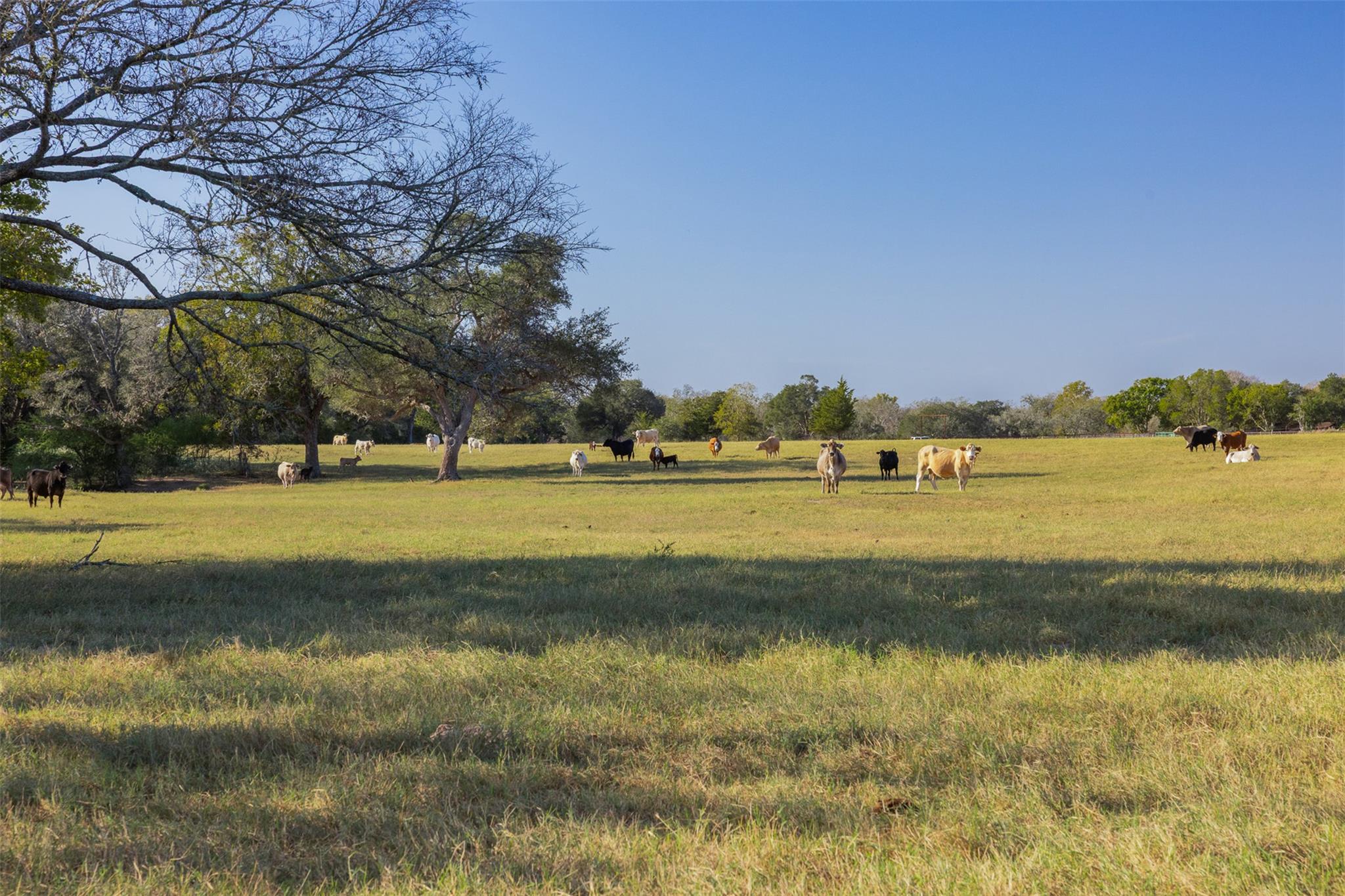 3012 Us Highway 77 S, Hallettsville, TX 77964