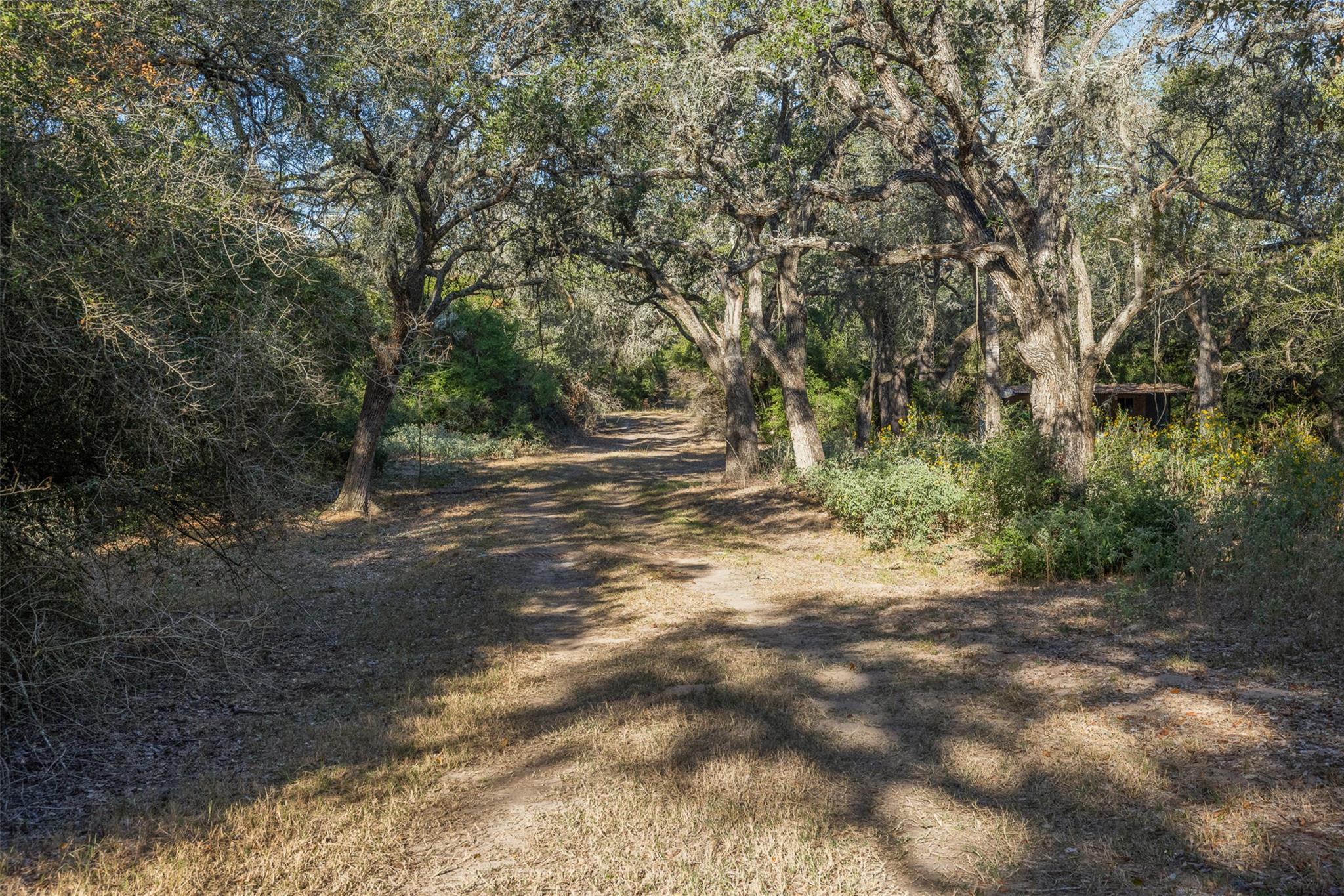 3012 Us Highway 77 S, Hallettsville, TX 77964