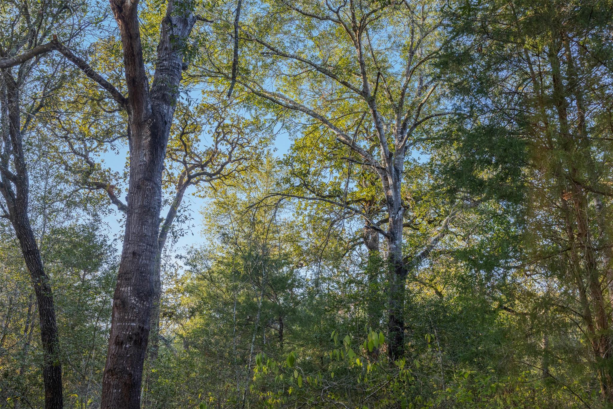 3012 Us Highway 77 S, Hallettsville, TX 77964