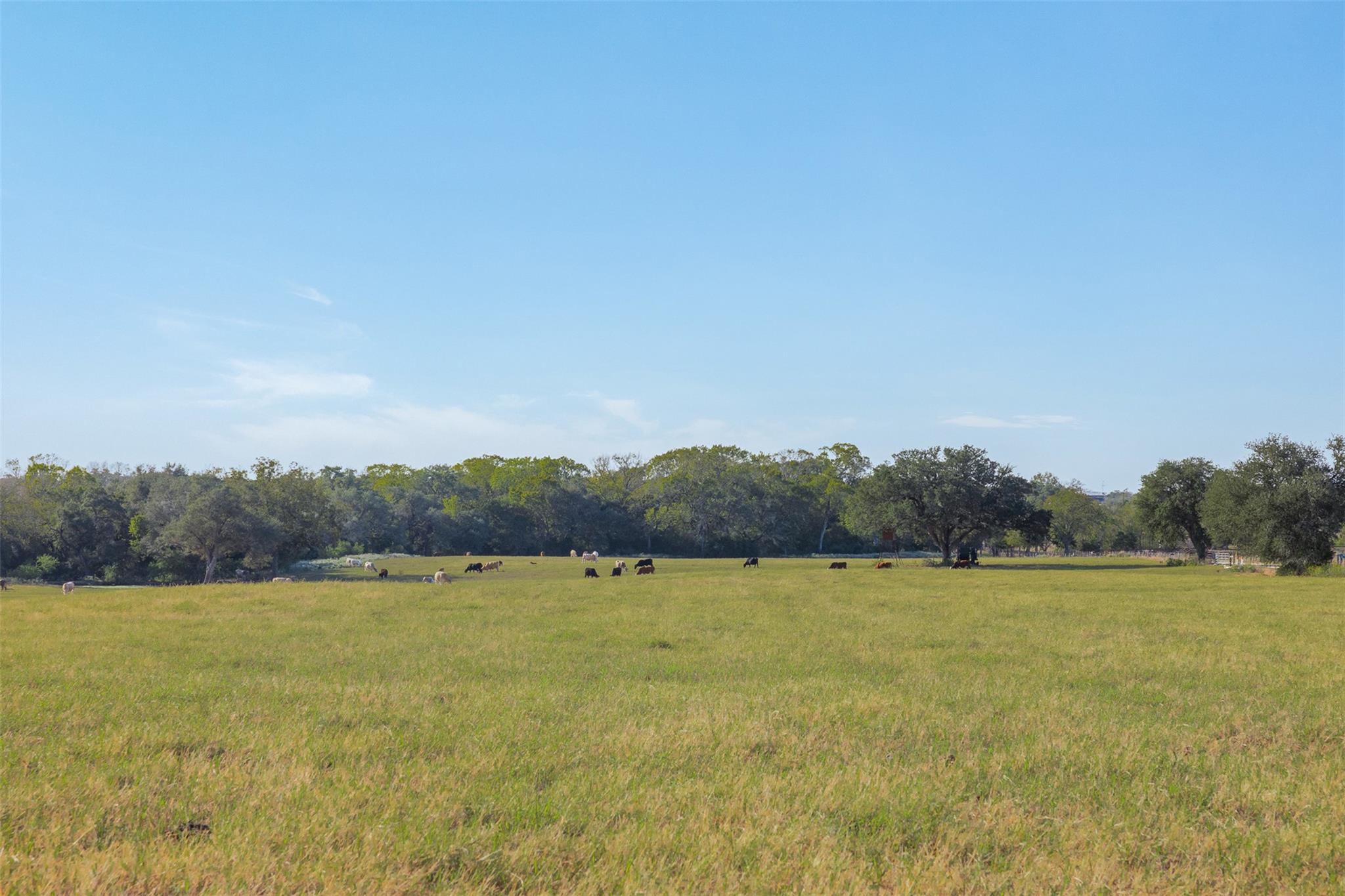 3012 Us Highway 77 S, Hallettsville, TX 77964