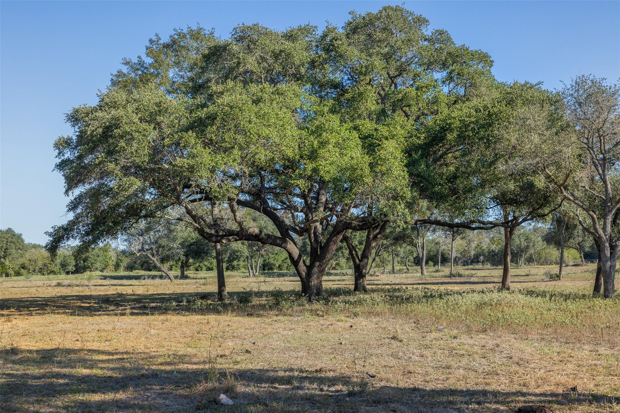 3012 Us Highway 77 S, Hallettsville, TX 77964