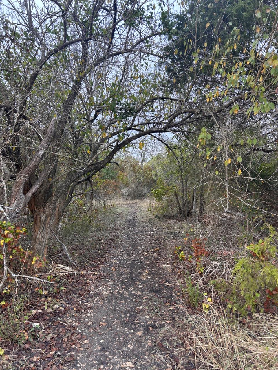 10629 Sunday Dr, Austin, TX 78747