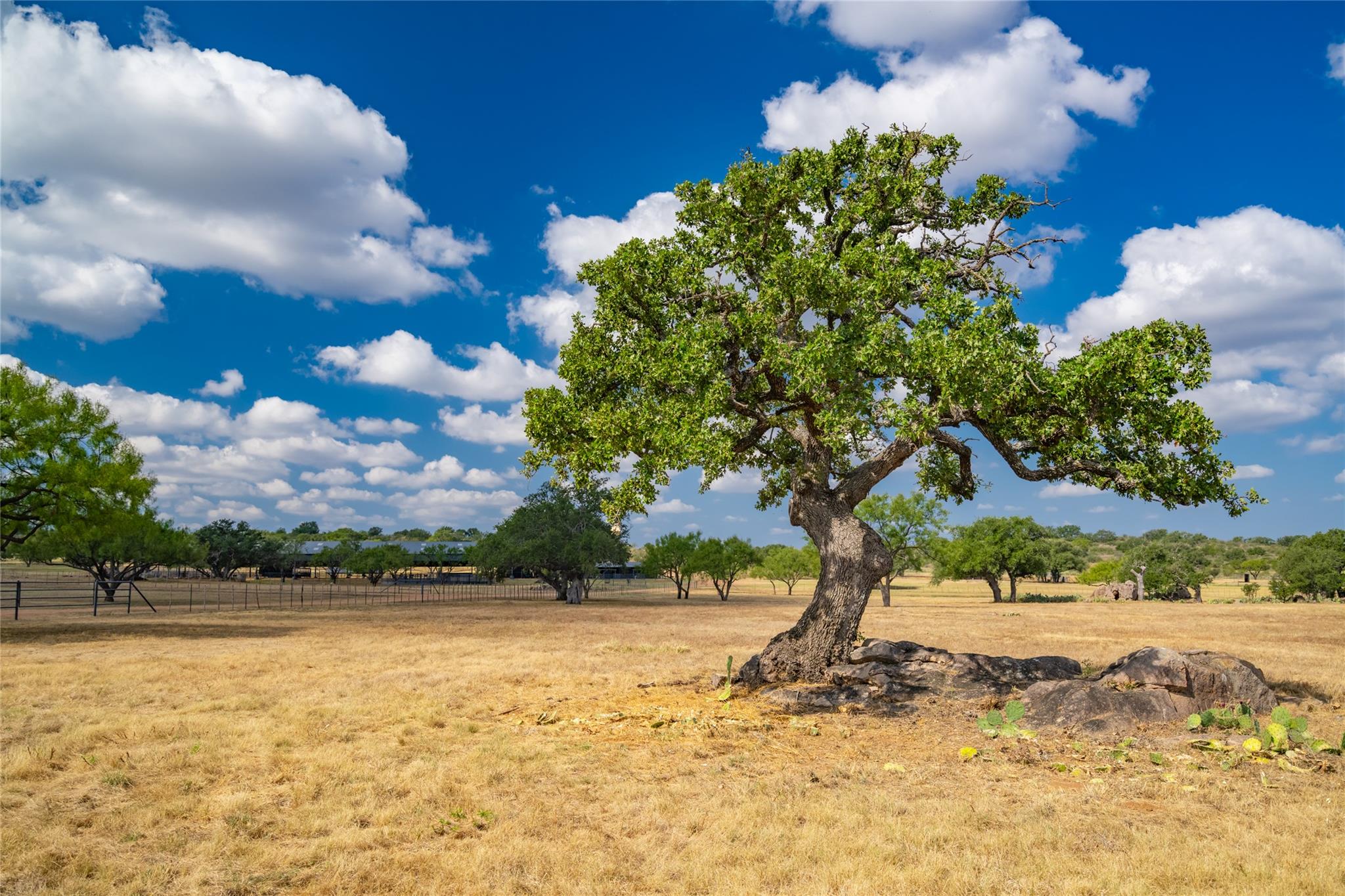 3019 S Highway 16, Llano, TX 78643