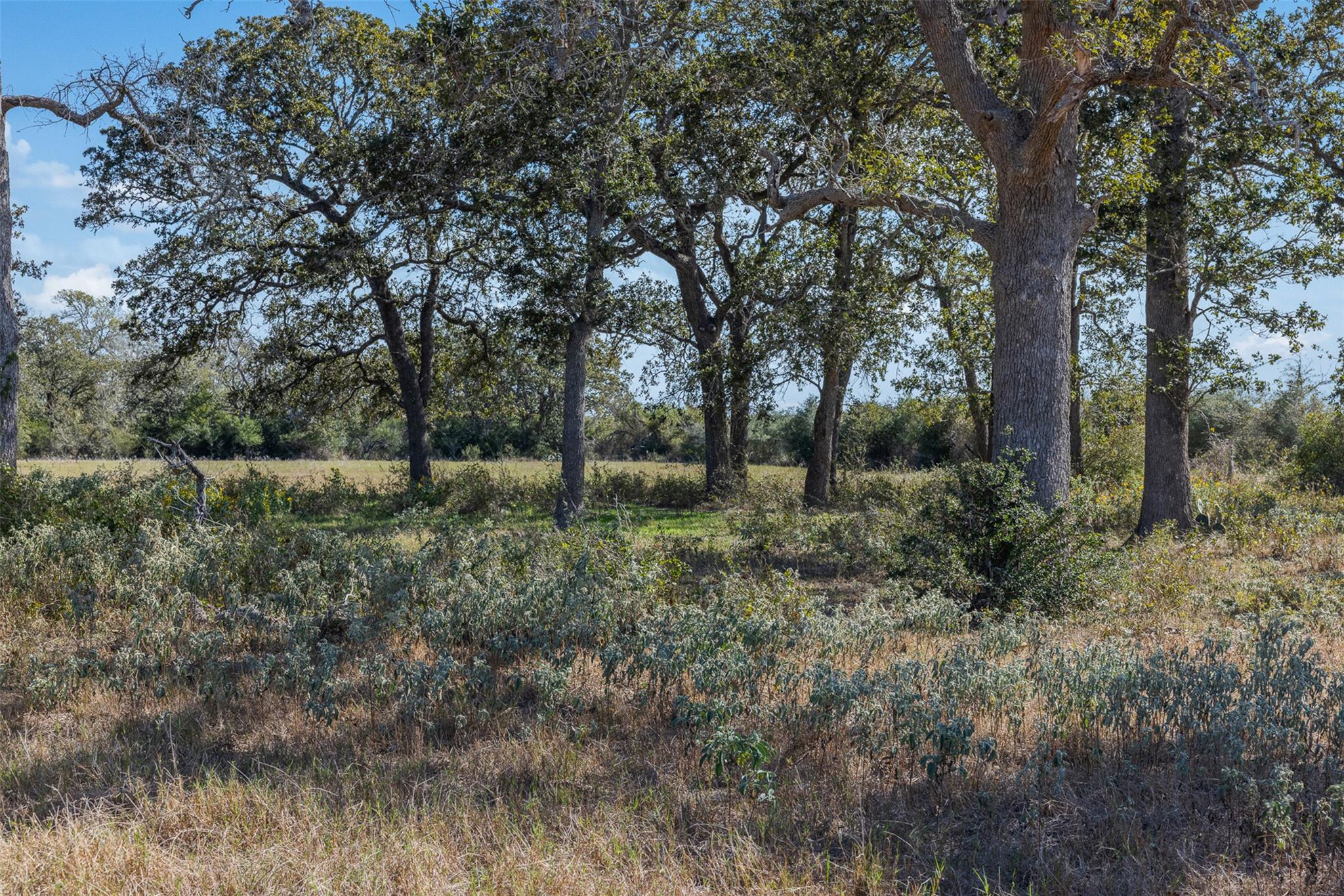 TBD Us Hwy 77, Hallettsville, TX 77964