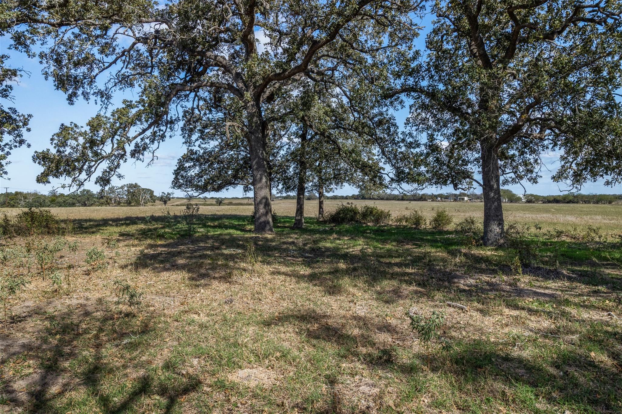 TBD Us Hwy 77, Hallettsville, TX 77964